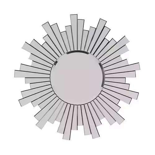 Tiger Navado Mirror Art