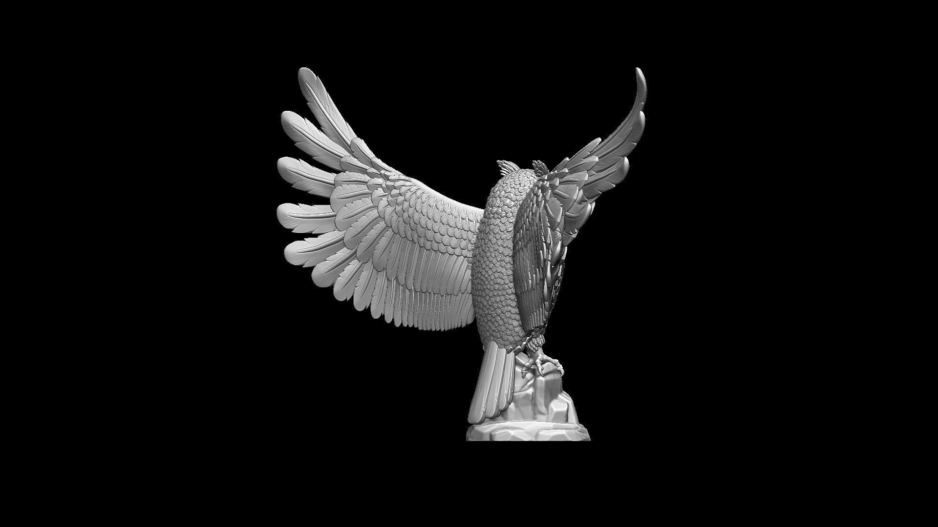 bird owl 3D print model_12