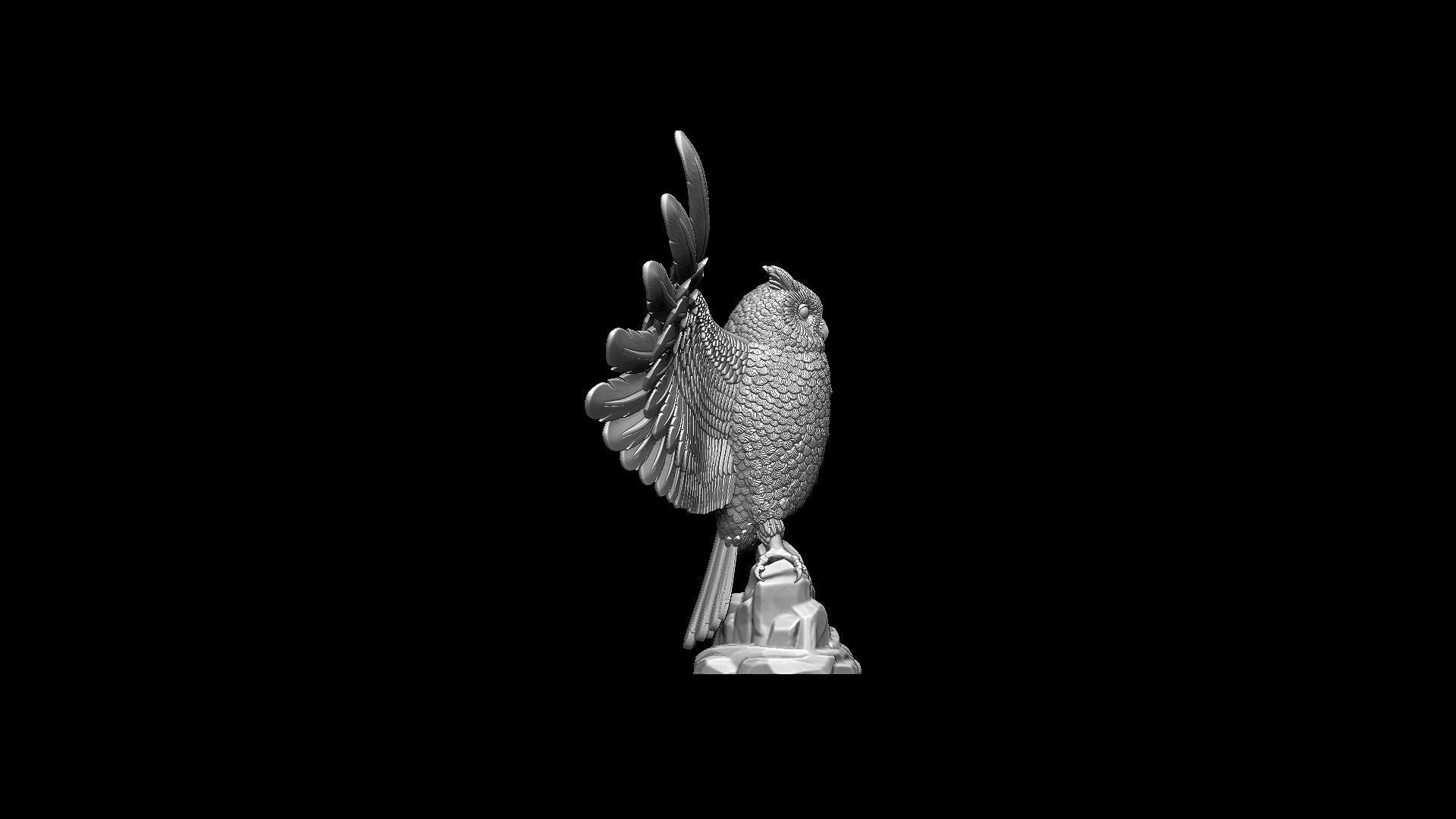 bird owl 3D print model_29