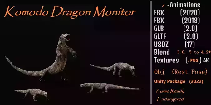 Komodo Dragon Monitor Lizard