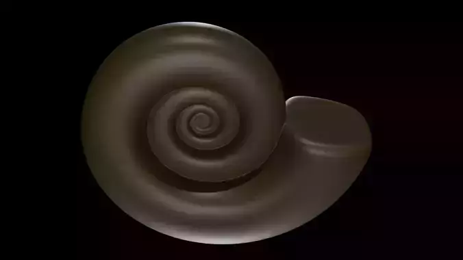 Ammonoid shell virtual model of Eocanites