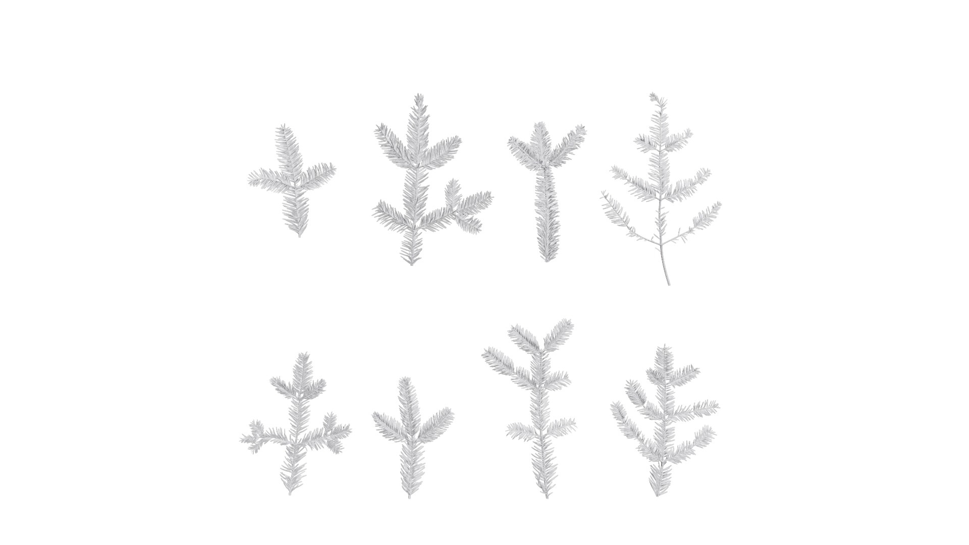 4K Abies Alba Textures Pack Texture_11