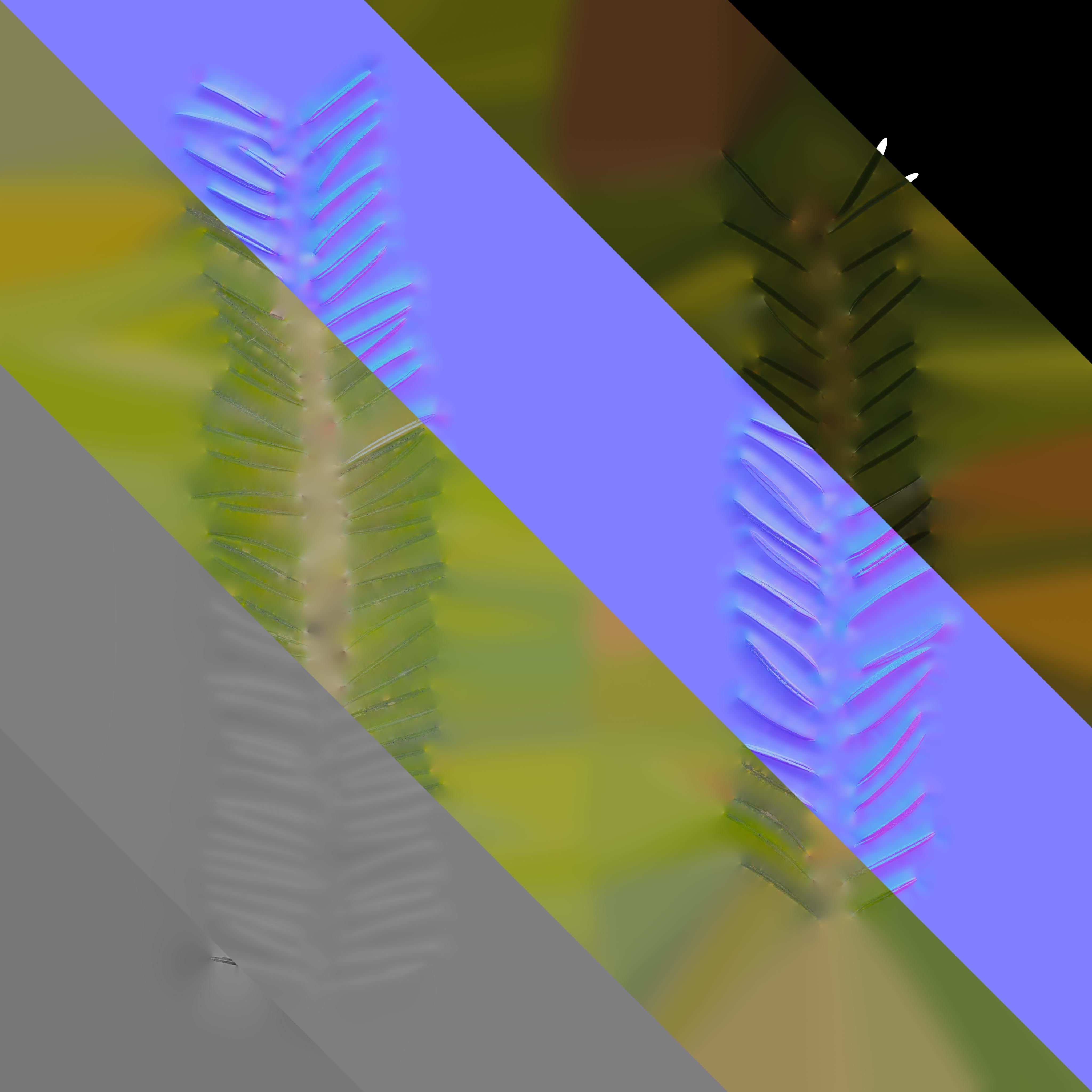 4K Abies Alba Textures Pack Texture_2