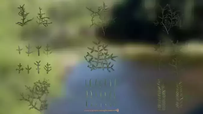 4K Abies Alba Textures Pack