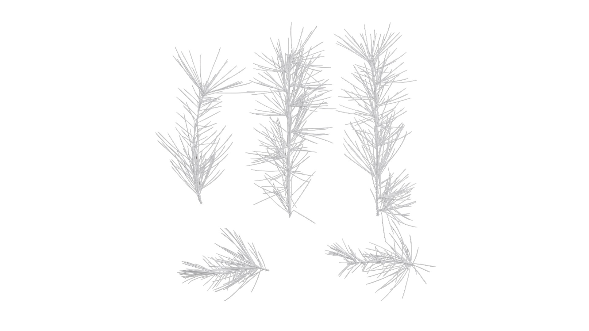 4K Cedrus Deodara Textures Pack Texture_11