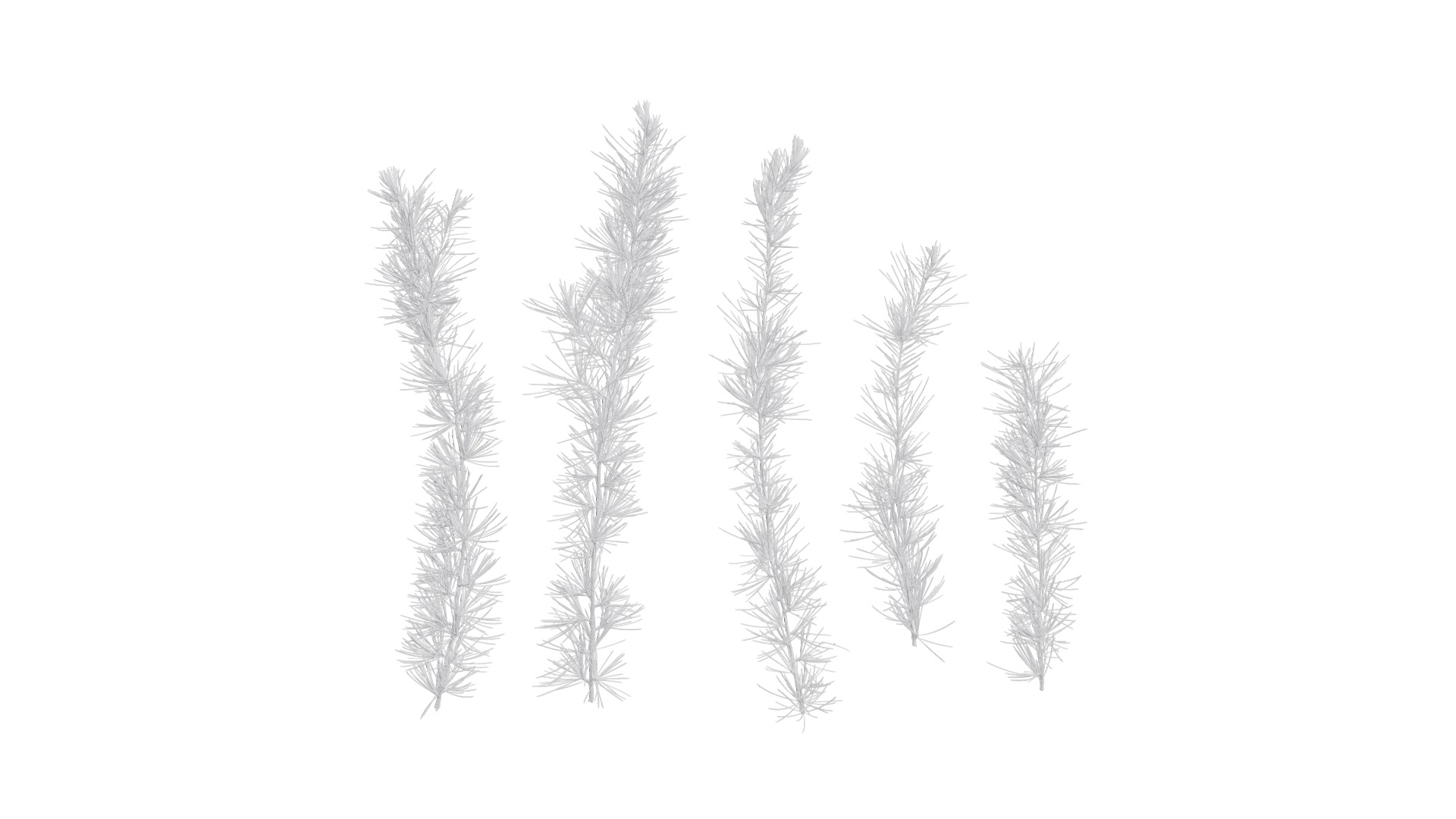 4K Cedrus Deodara Textures Pack Texture_10