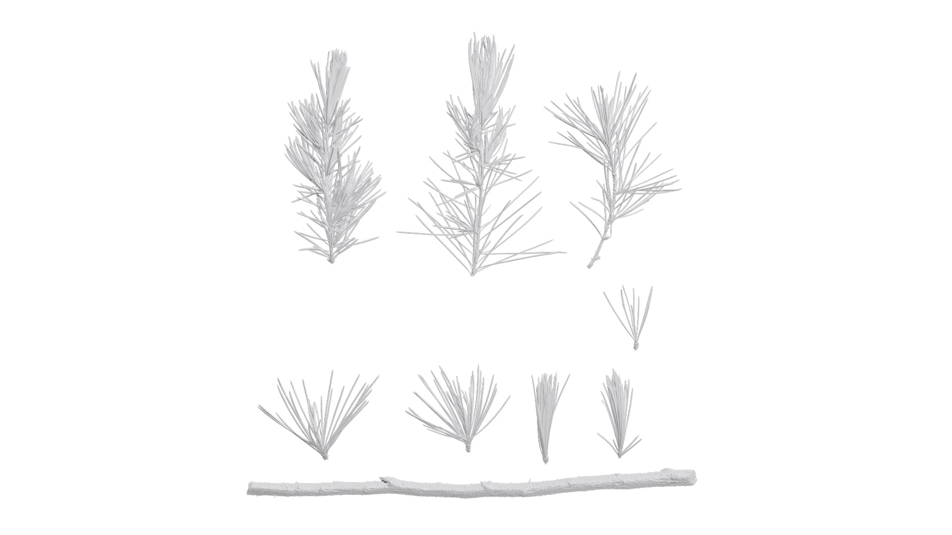 4K Cedrus Deodara Textures Pack Texture_8