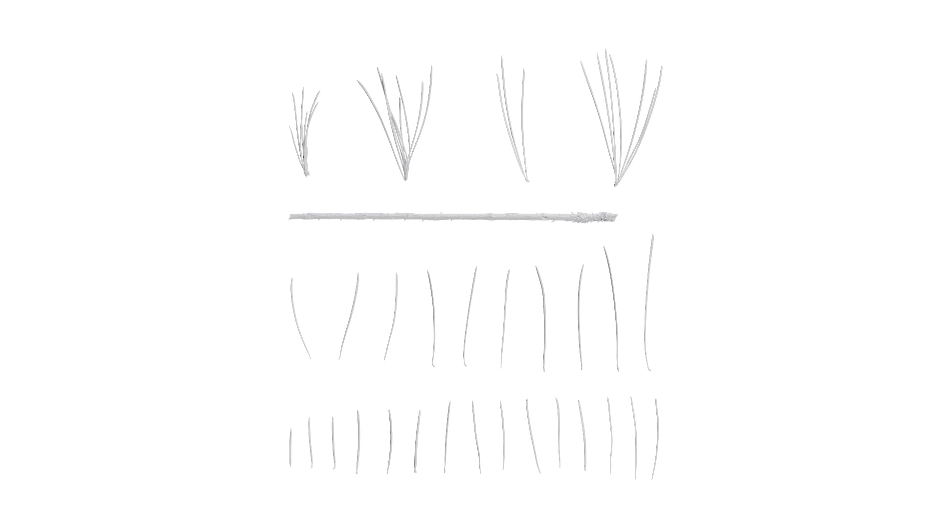 4K Cedrus Deodara Textures Pack Texture_12