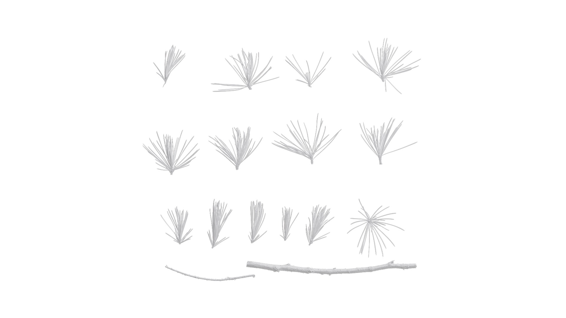 4K Cedrus Deodara Textures Pack Texture_13