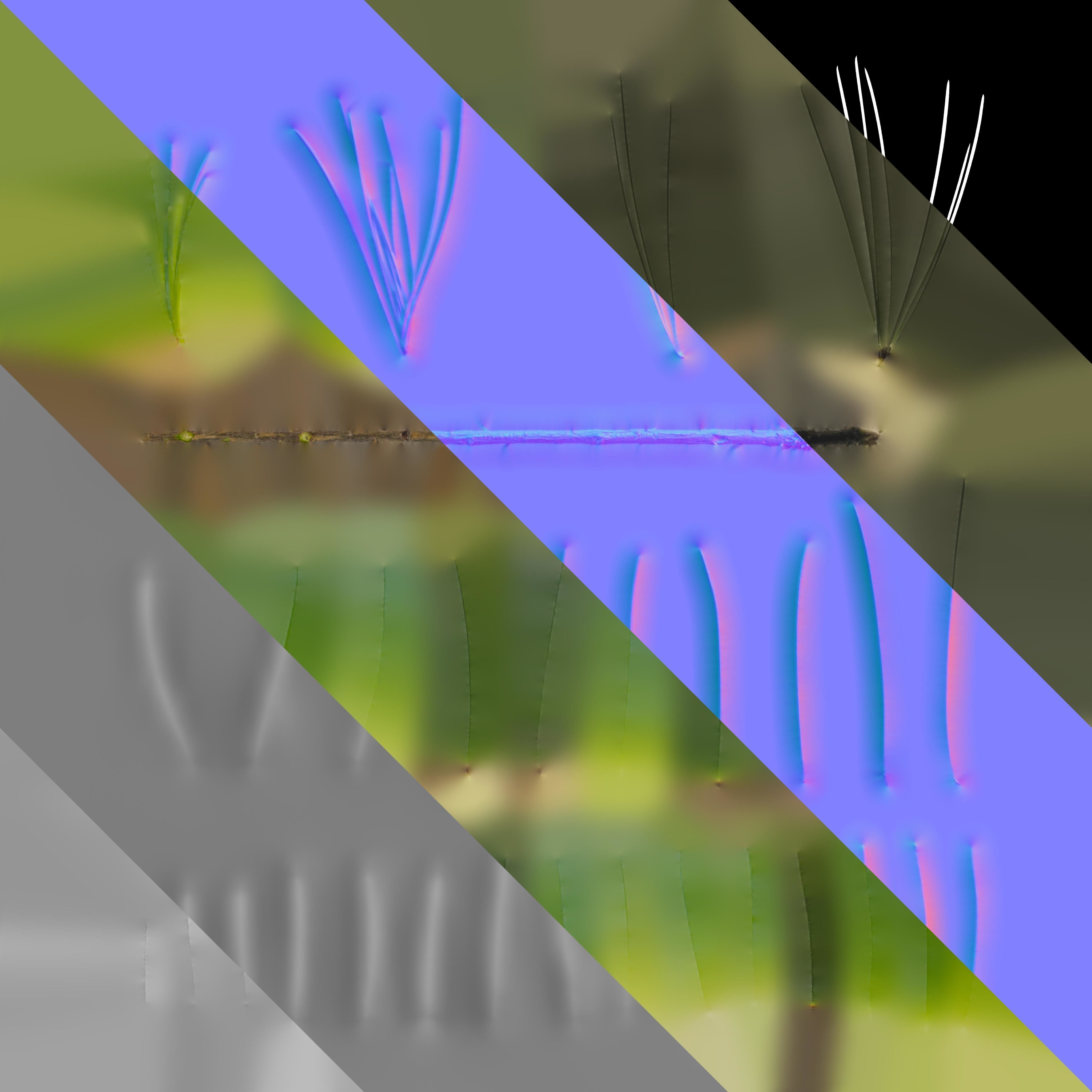 4K Cedrus Deodara Textures Pack Texture_6