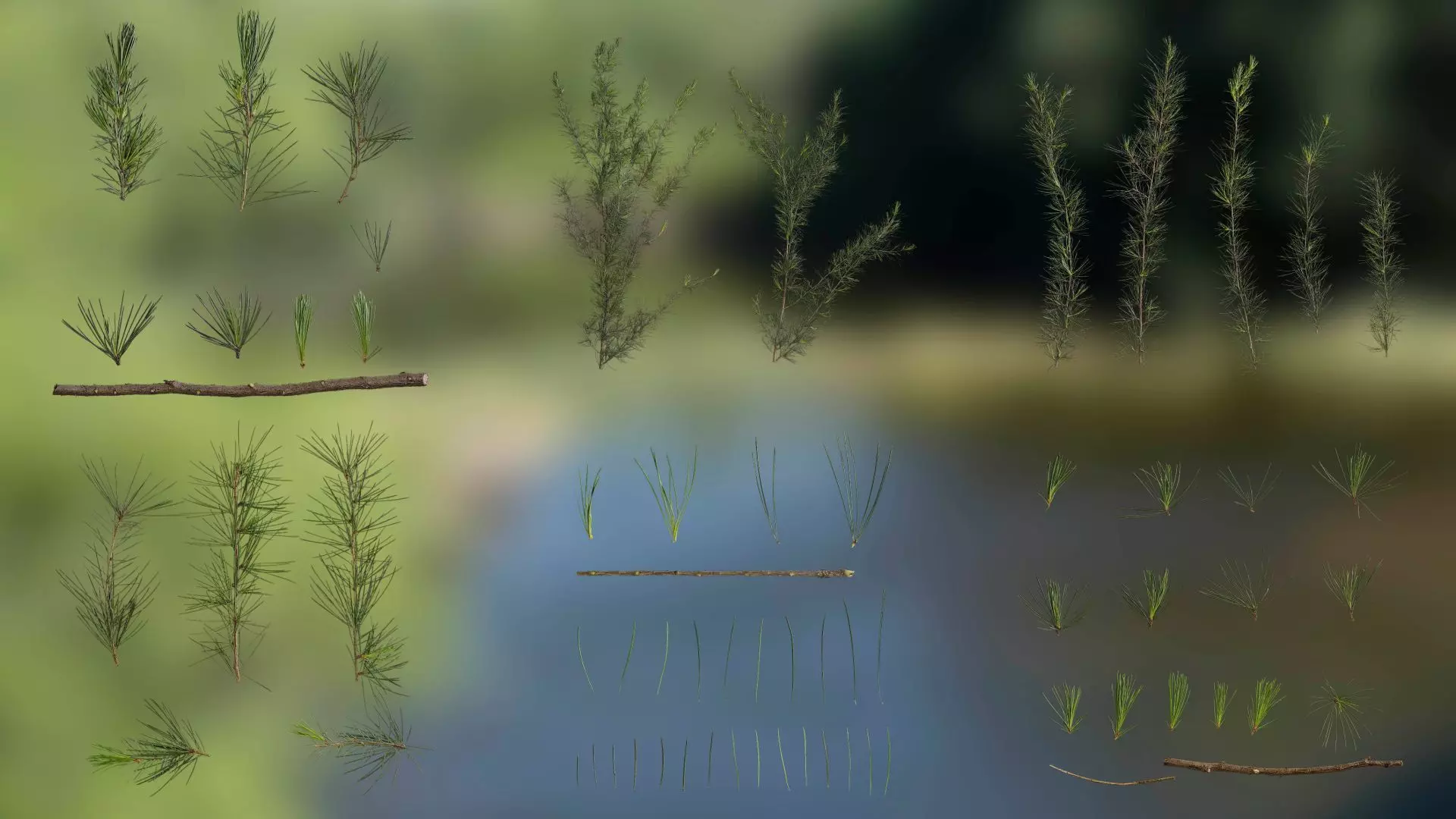 4K Cedrus Deodara Textures Pack Texture_0