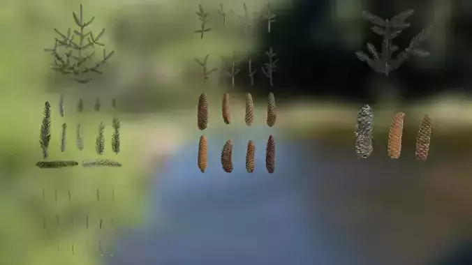 4K Picea Abies Textures Pack