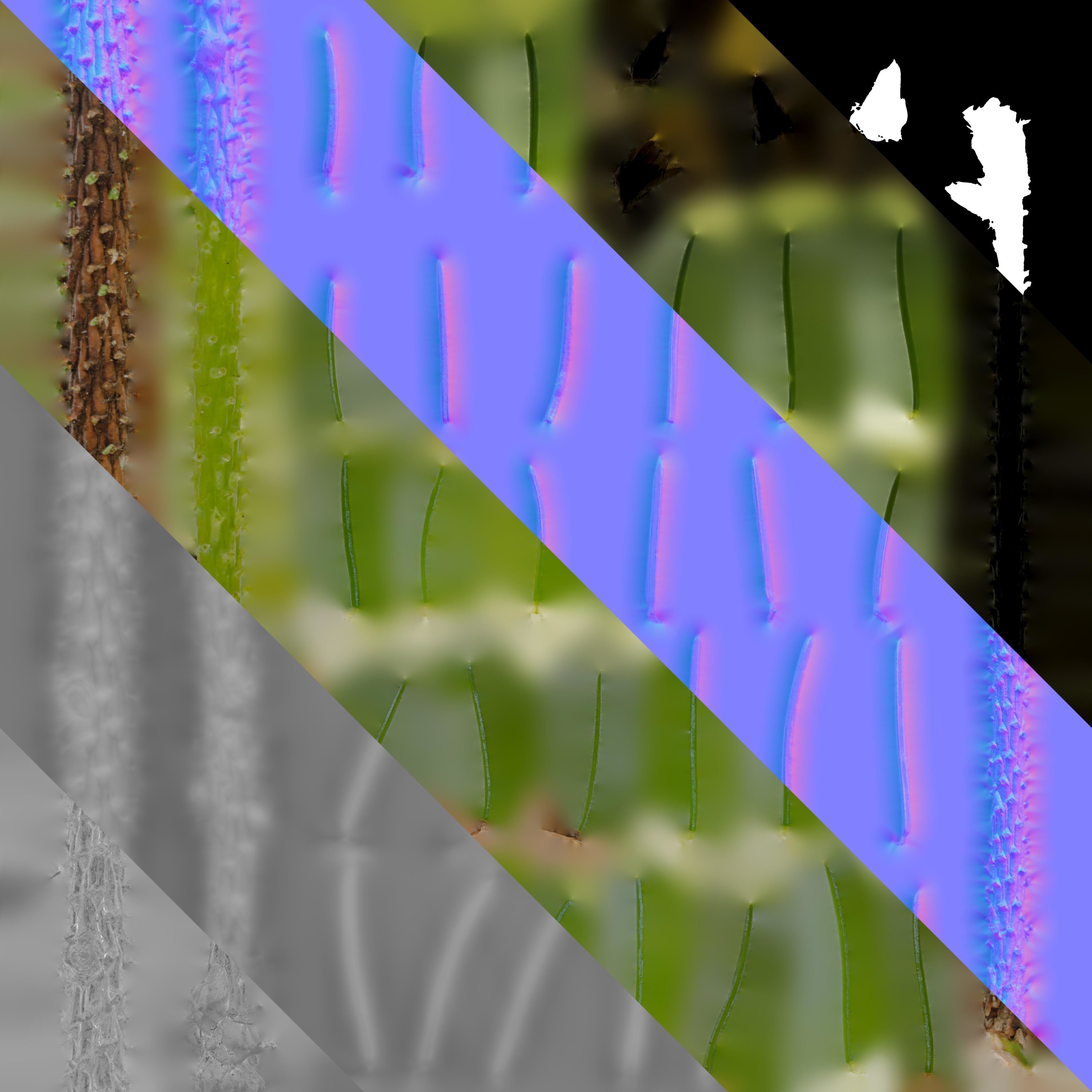 Dragon Spruce Trunk Model And Textures Pack Low-poly 3D model_20