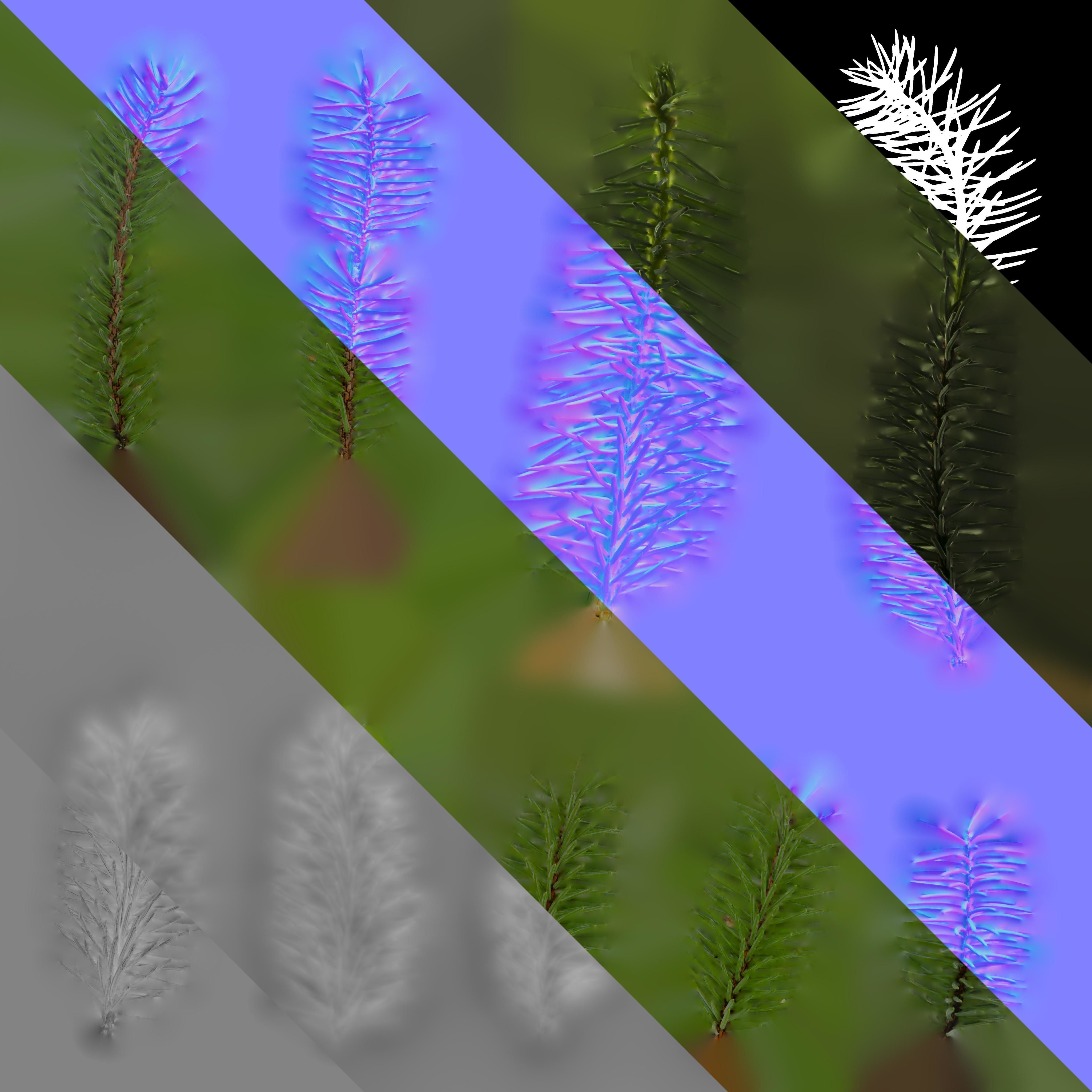 Dragon Spruce Trunk Model And Textures Pack Low-poly 3D model_13