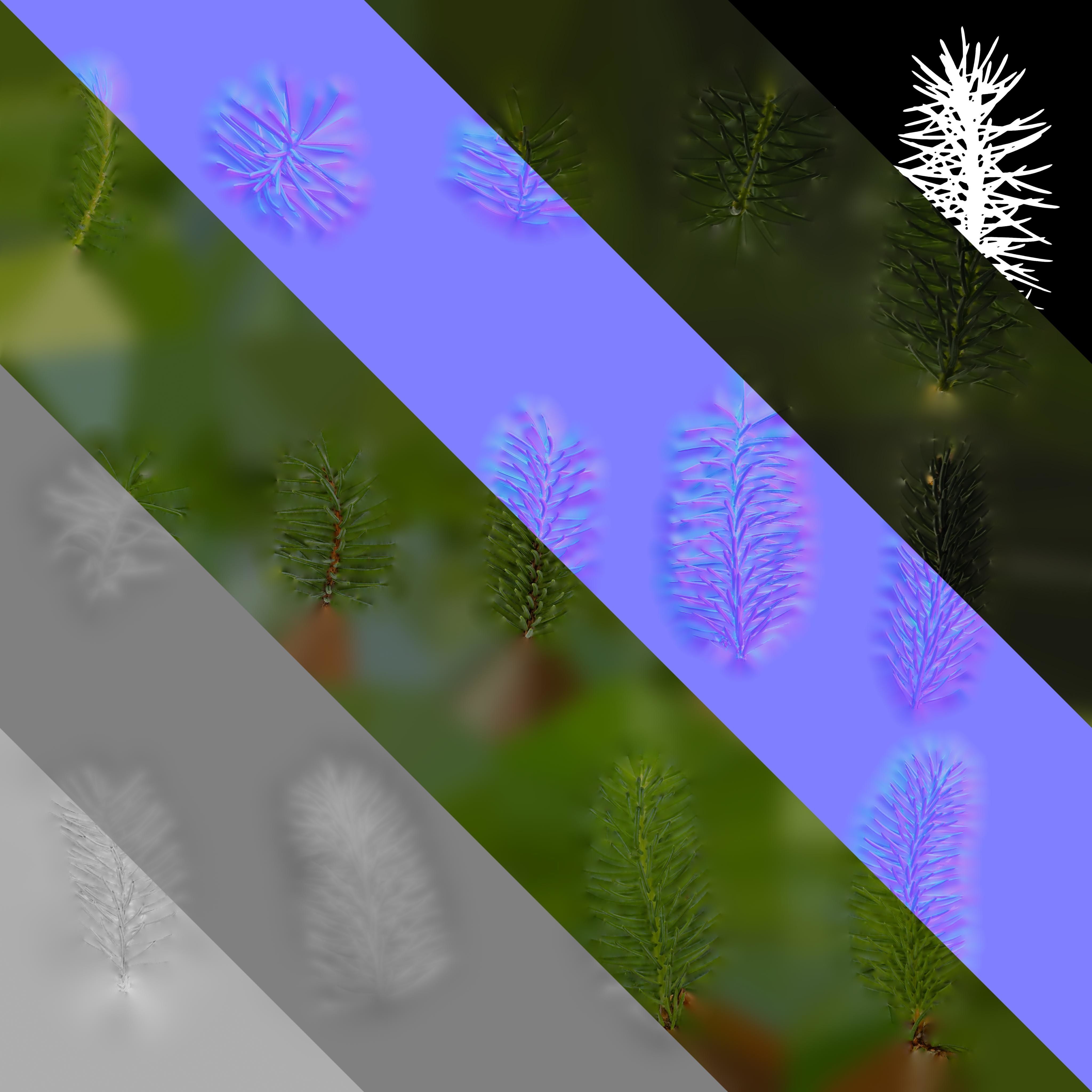 Dragon Spruce Trunk Model And Textures Pack Low-poly 3D model_15