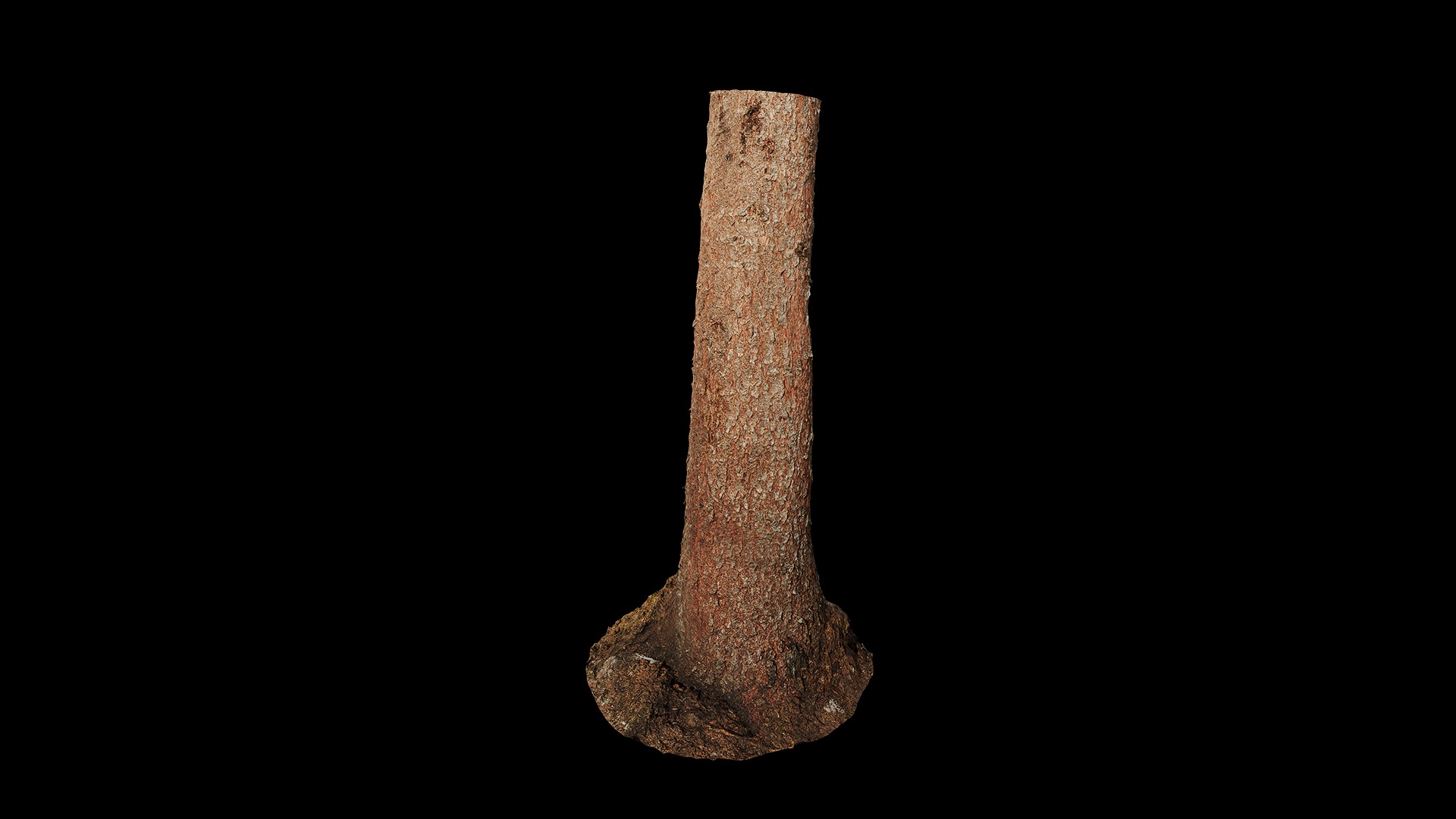 Dragon Spruce Trunk Model And Textures Pack Low-poly 3D model_5