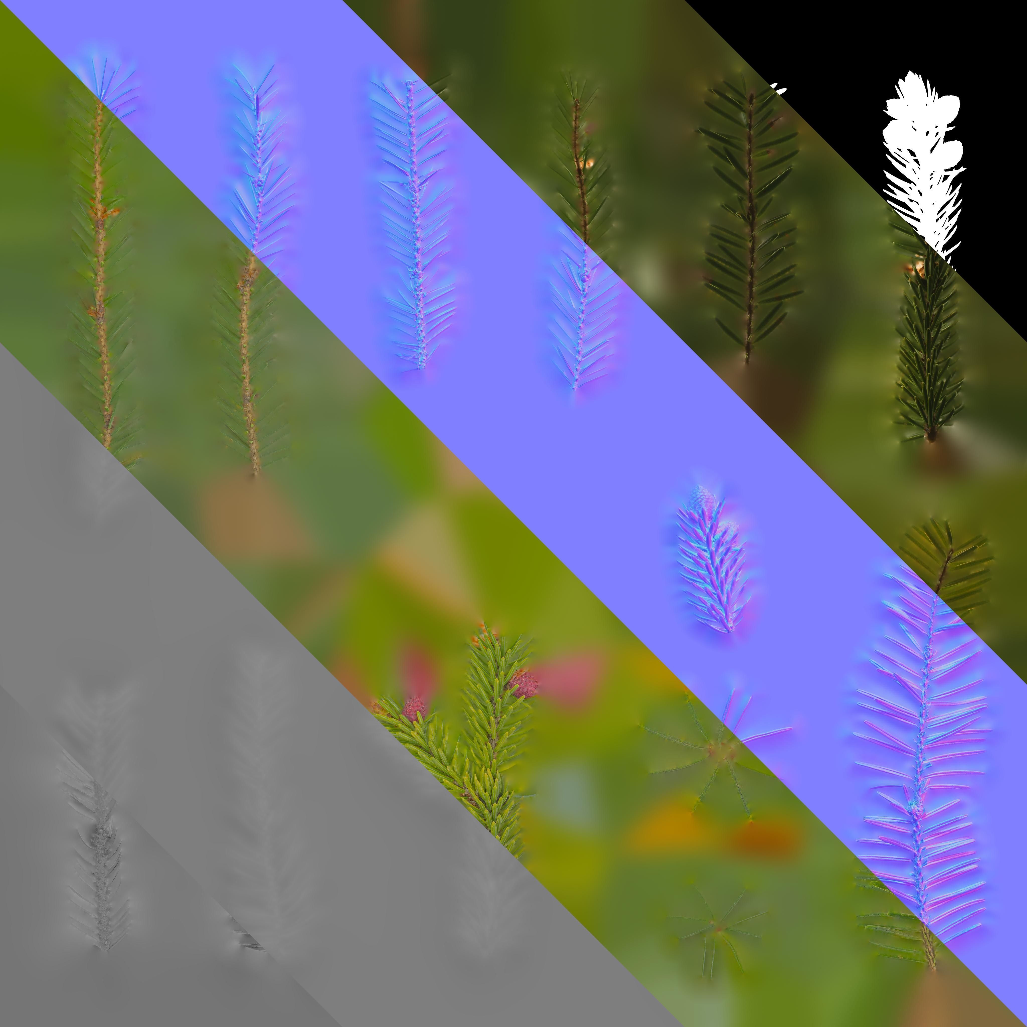 Dragon Spruce Trunk Model And Textures Pack Low-poly 3D model_18