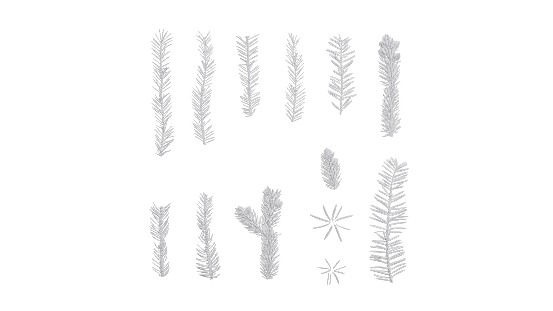 Dragon Spruce Trunk Model And Textures Pack Low-poly 3D model_23