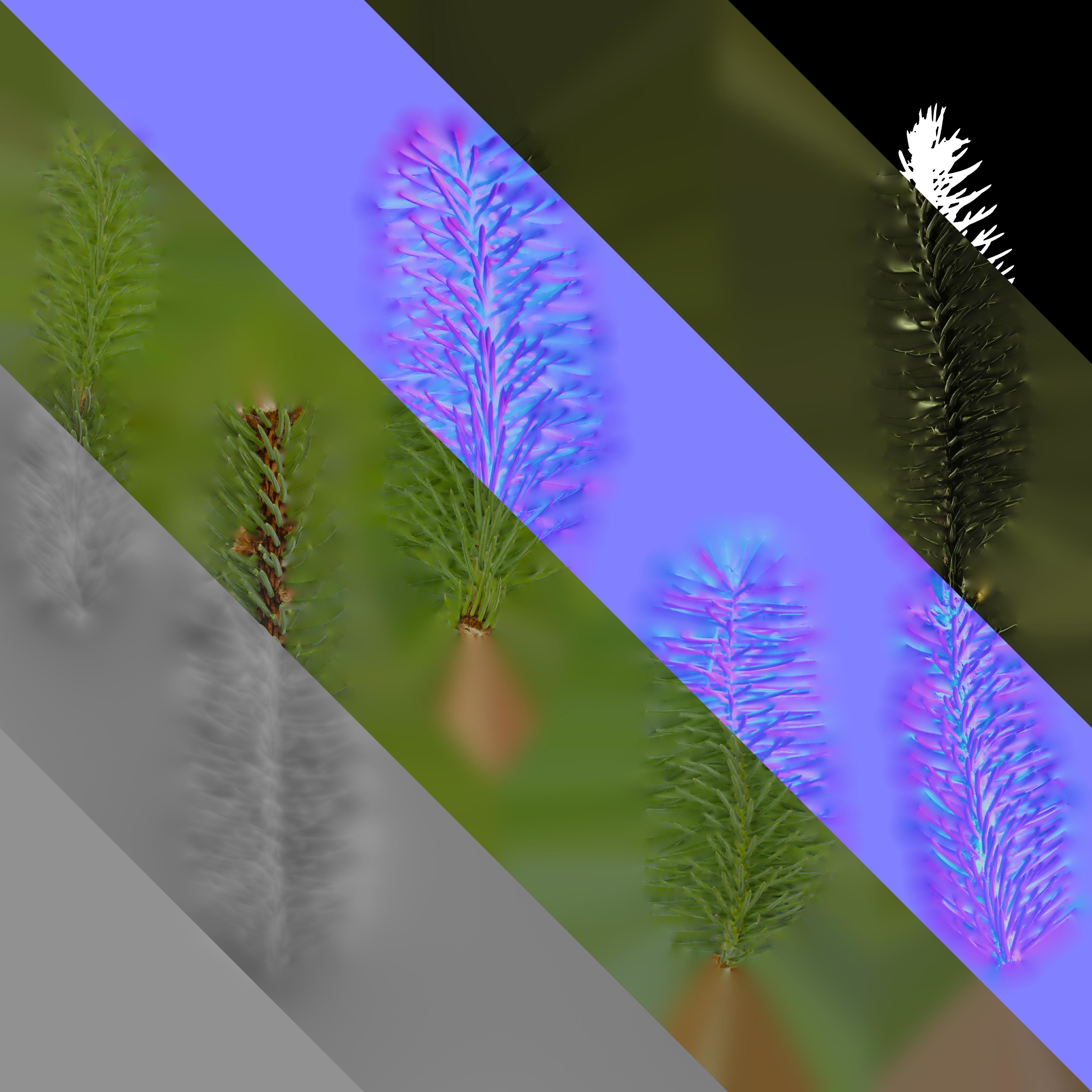 Dragon Spruce Trunk Model And Textures Pack Low-poly 3D model_14