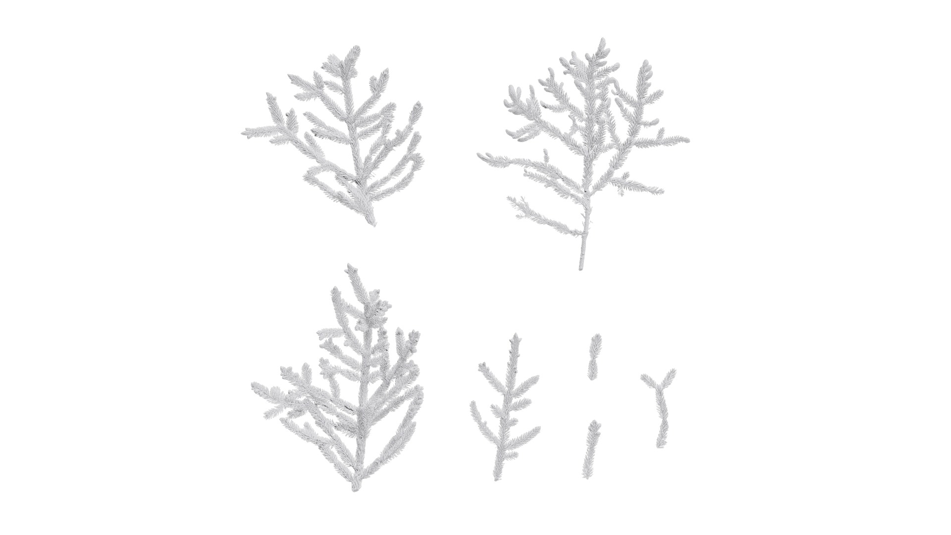 Dragon Spruce Trunk Model And Textures Pack Low-poly 3D model_27