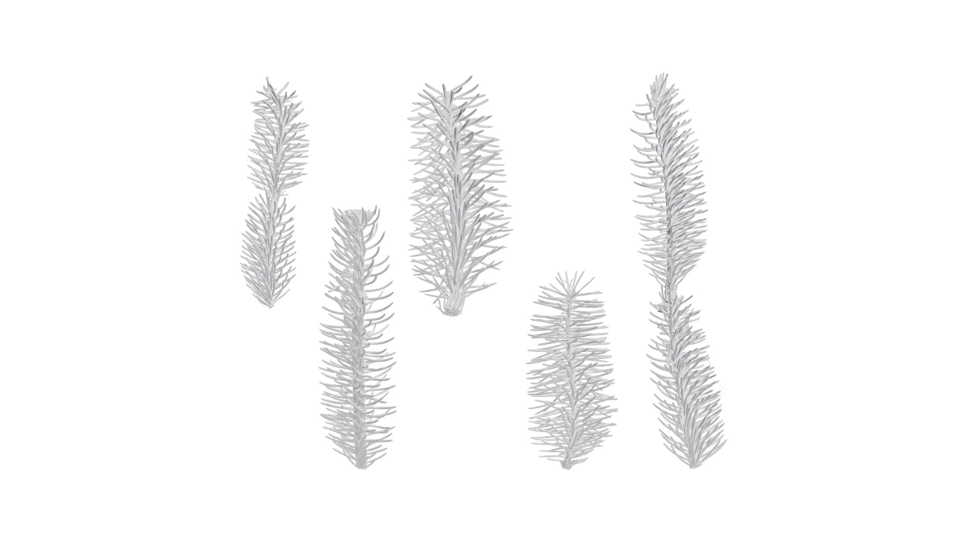 Dragon Spruce Trunk Model And Textures Pack Low-poly 3D model_25