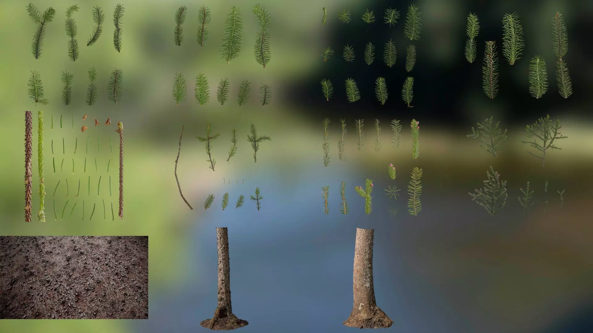 Dragon Spruce Trunk Model And Textures Pack Low-poly 3D model_0