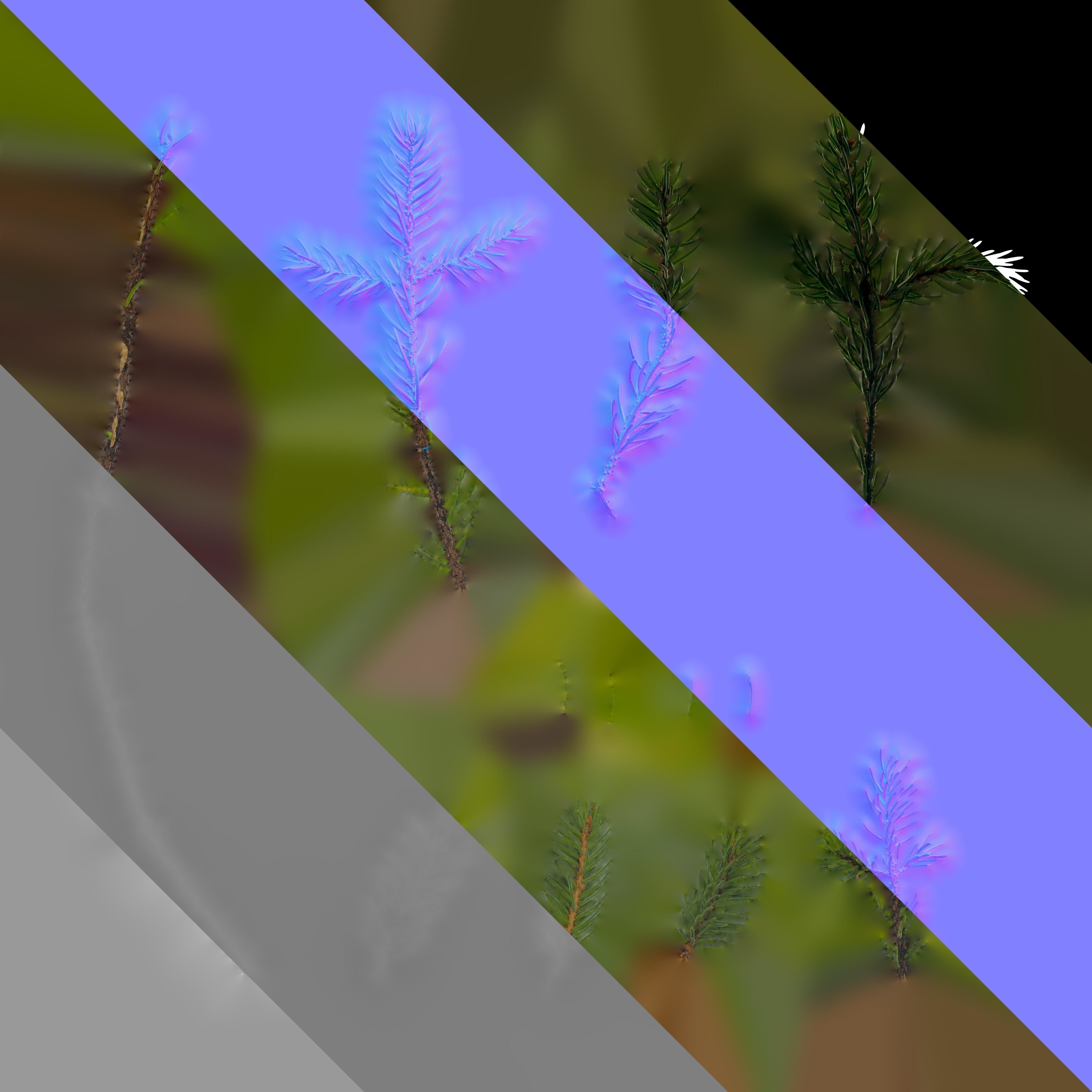 Dragon Spruce Trunk Model And Textures Pack Low-poly 3D model_17