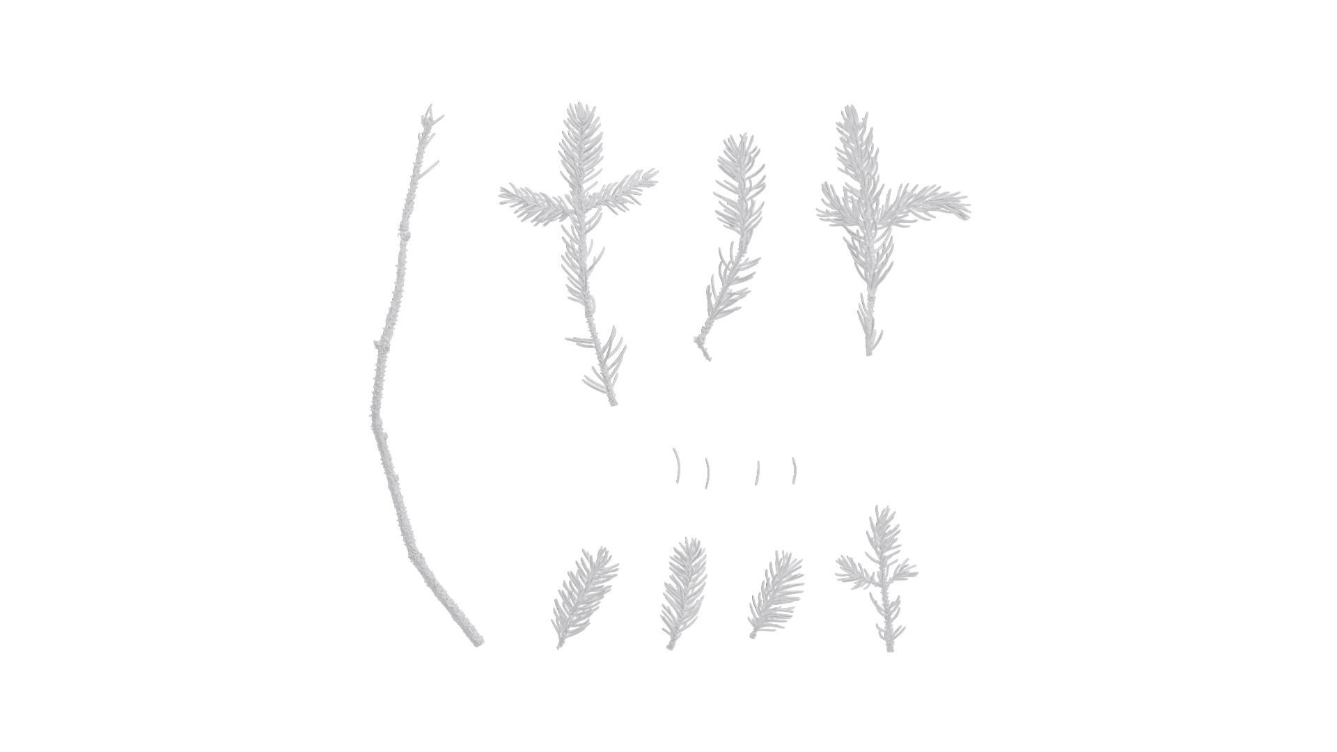 Dragon Spruce Trunk Model And Textures Pack Low-poly 3D model_26