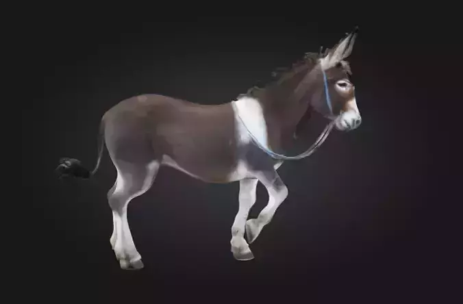 Donkey little apple 3D model from the Untamed Low-poly 3D model