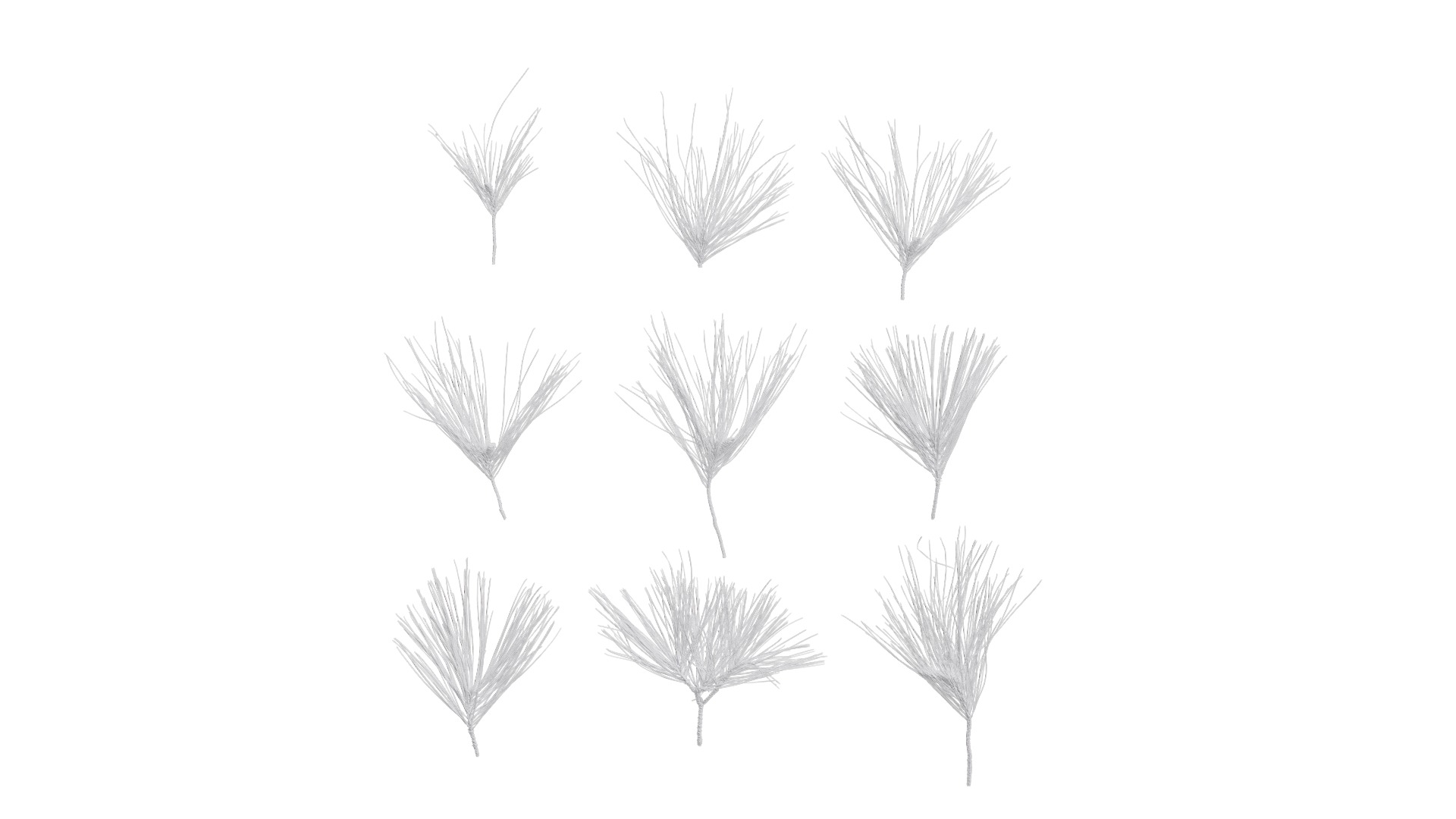 Pinus Massoniana Textures Pack 02 Texture_8