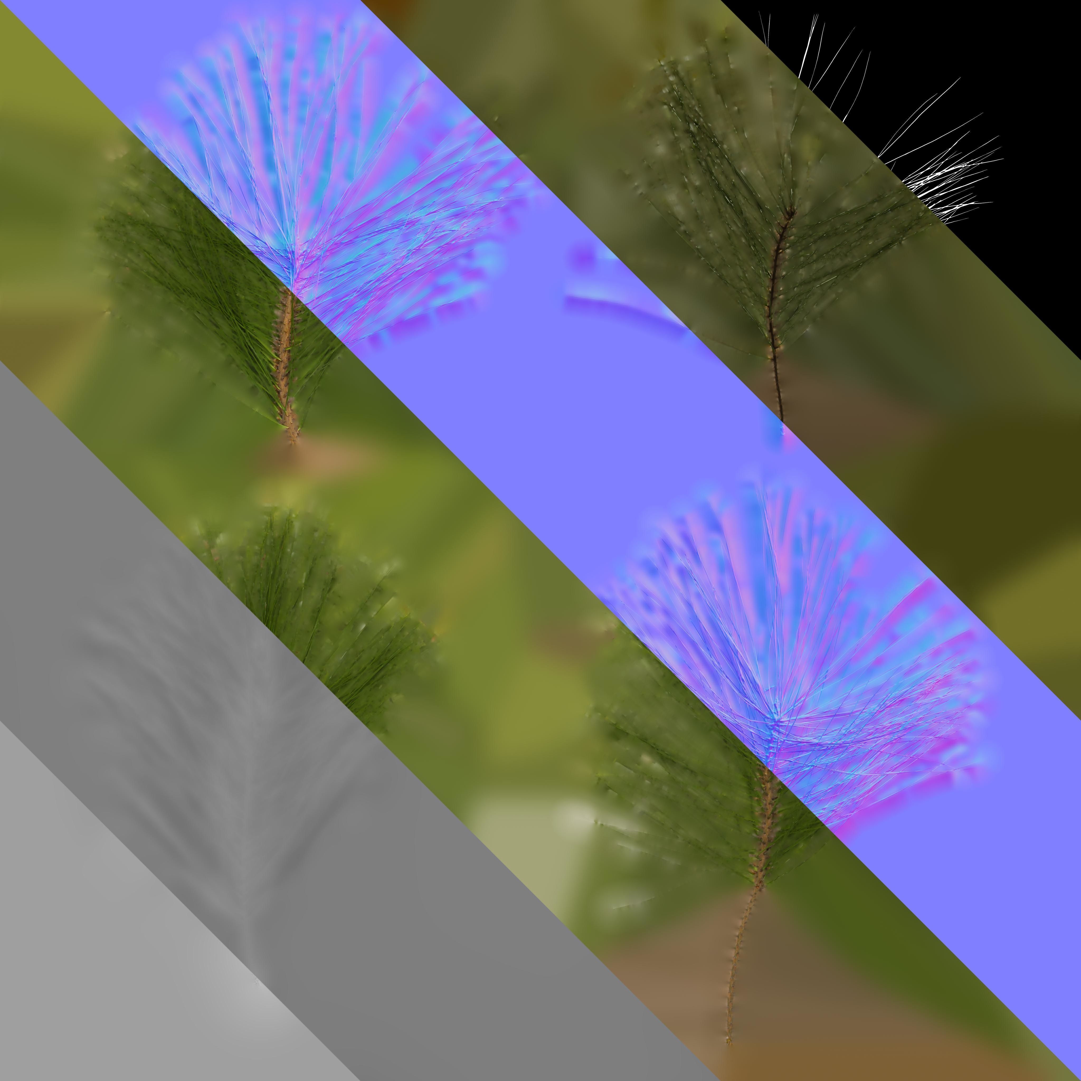 Pinus Massoniana Textures Pack 02 Texture_3