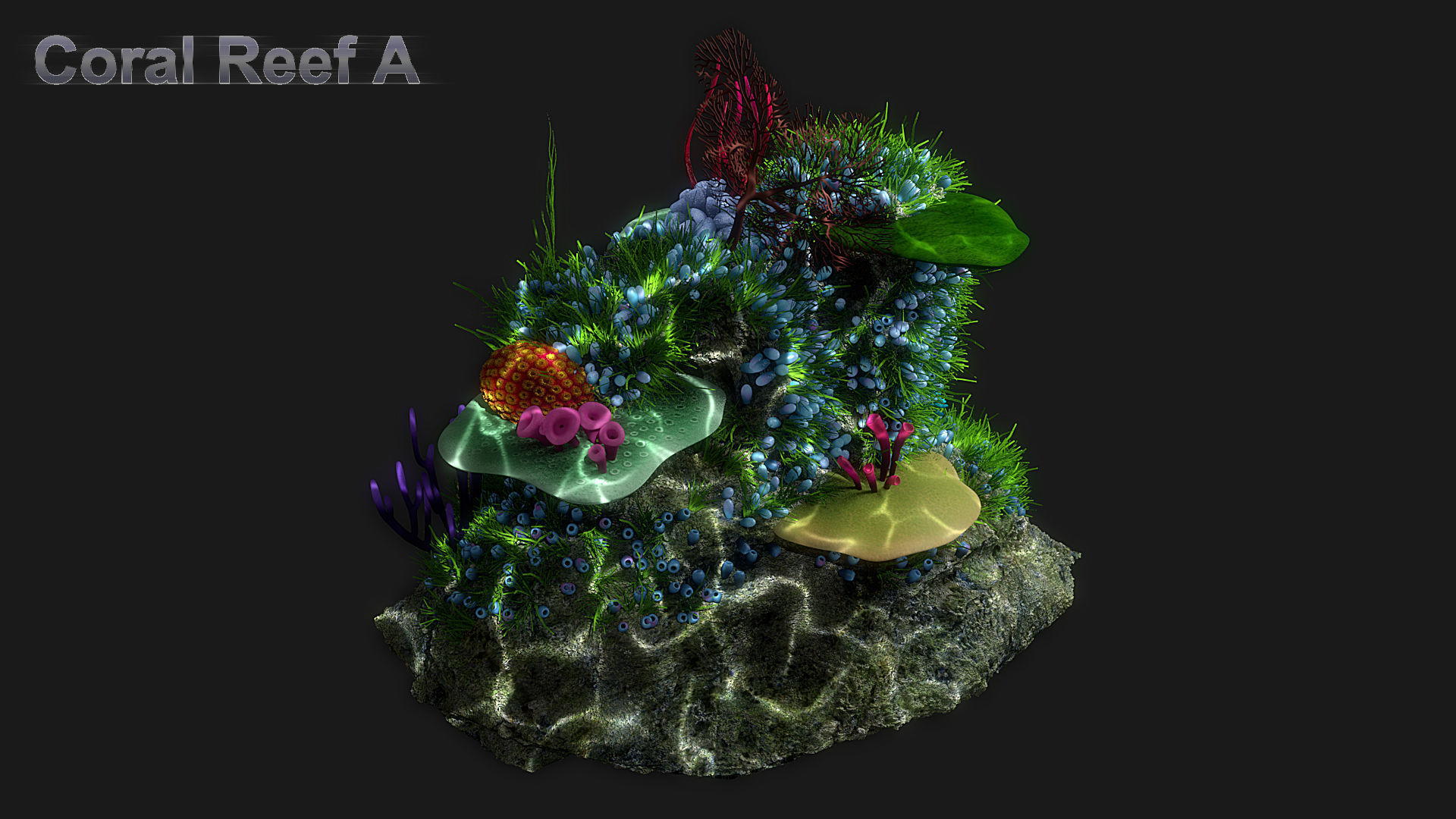 Cartoon Underwater Ship Scene 3D model_4