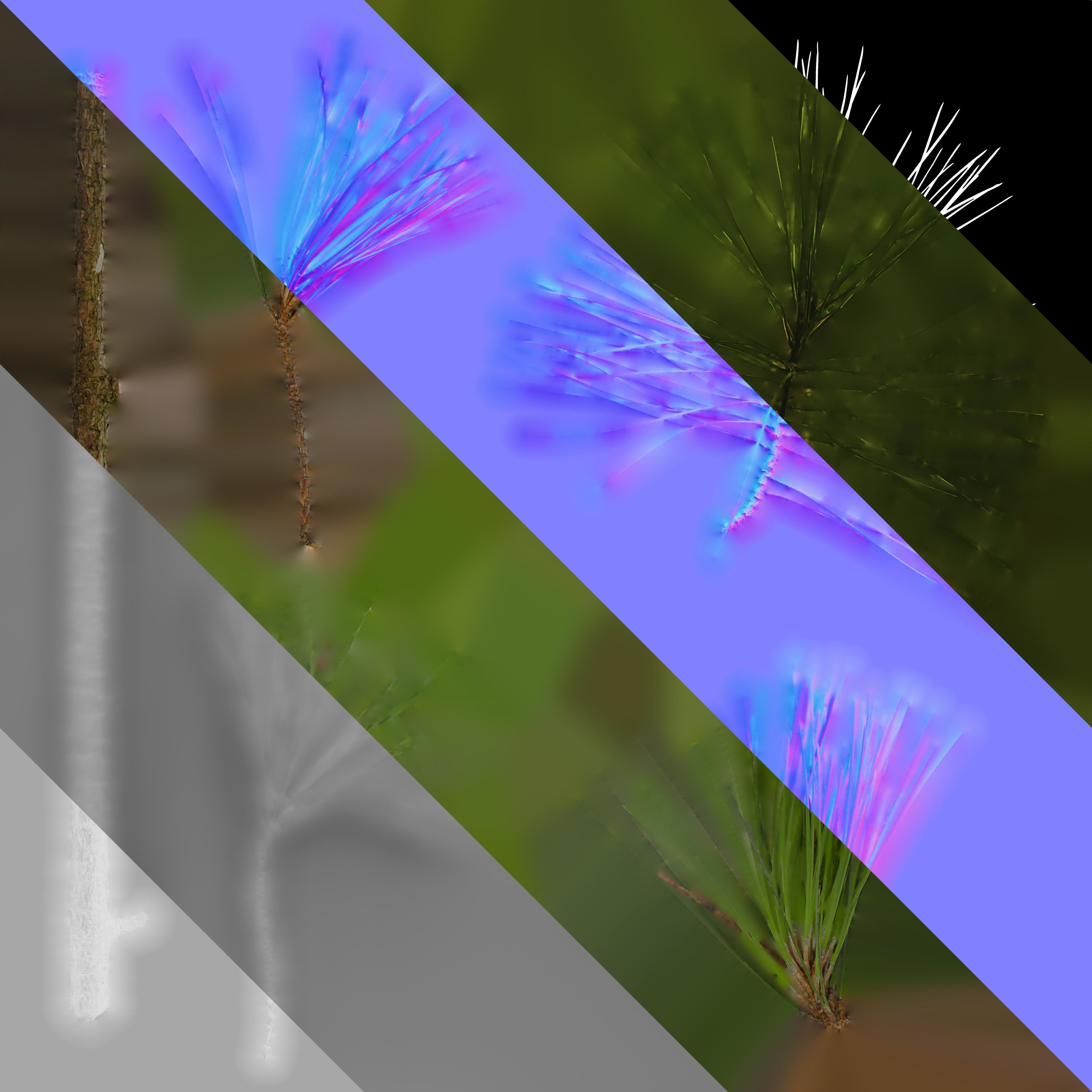 4K Pine Needle Textures Pack Texture_6