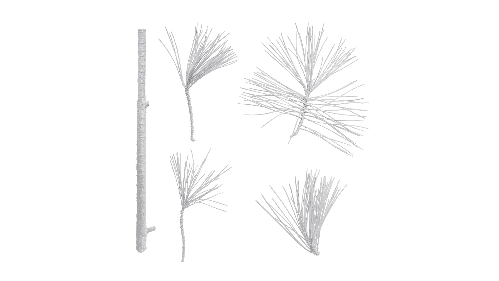 4K Pine Needle Textures Pack Texture_13