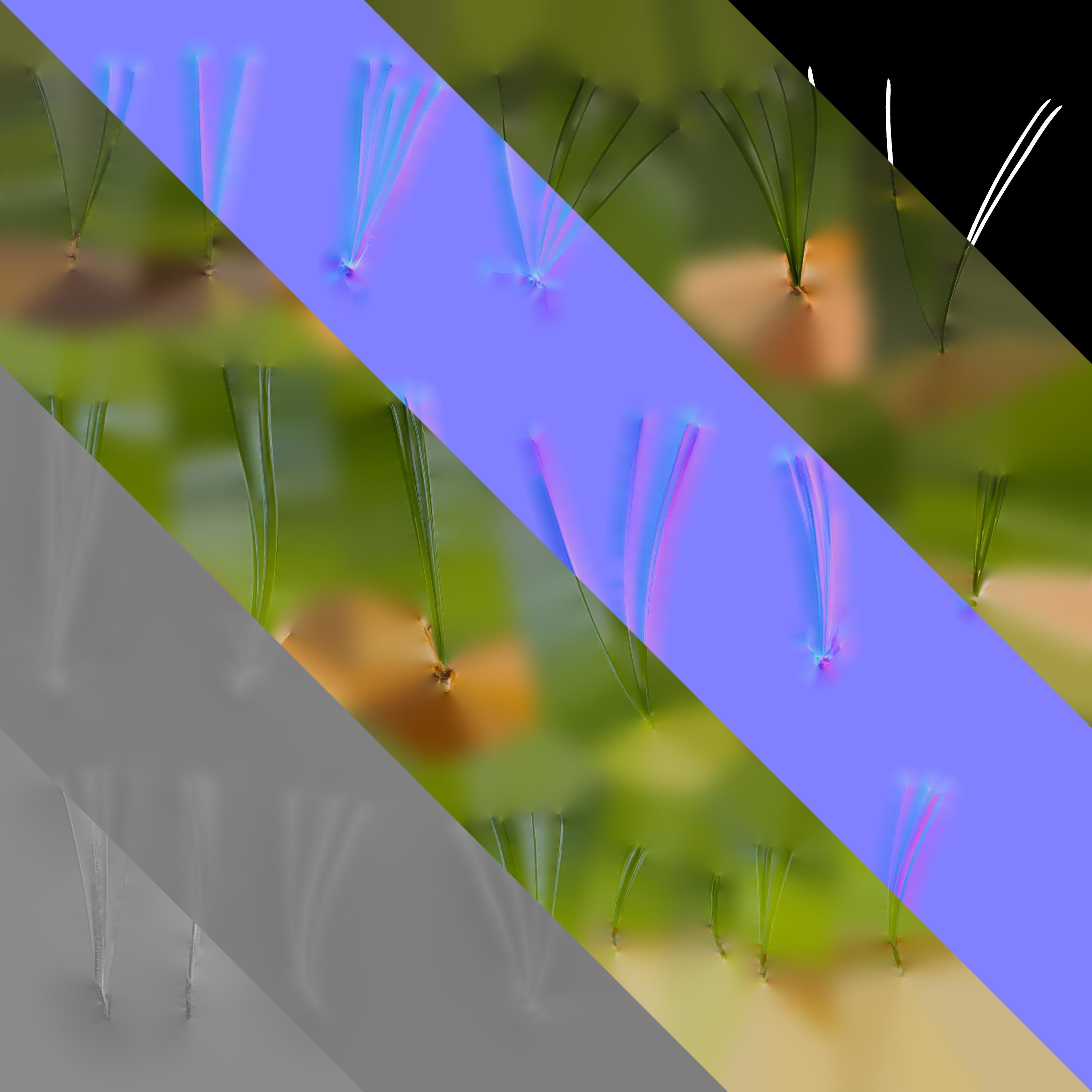 4K Pine Needle Textures Pack Texture_5