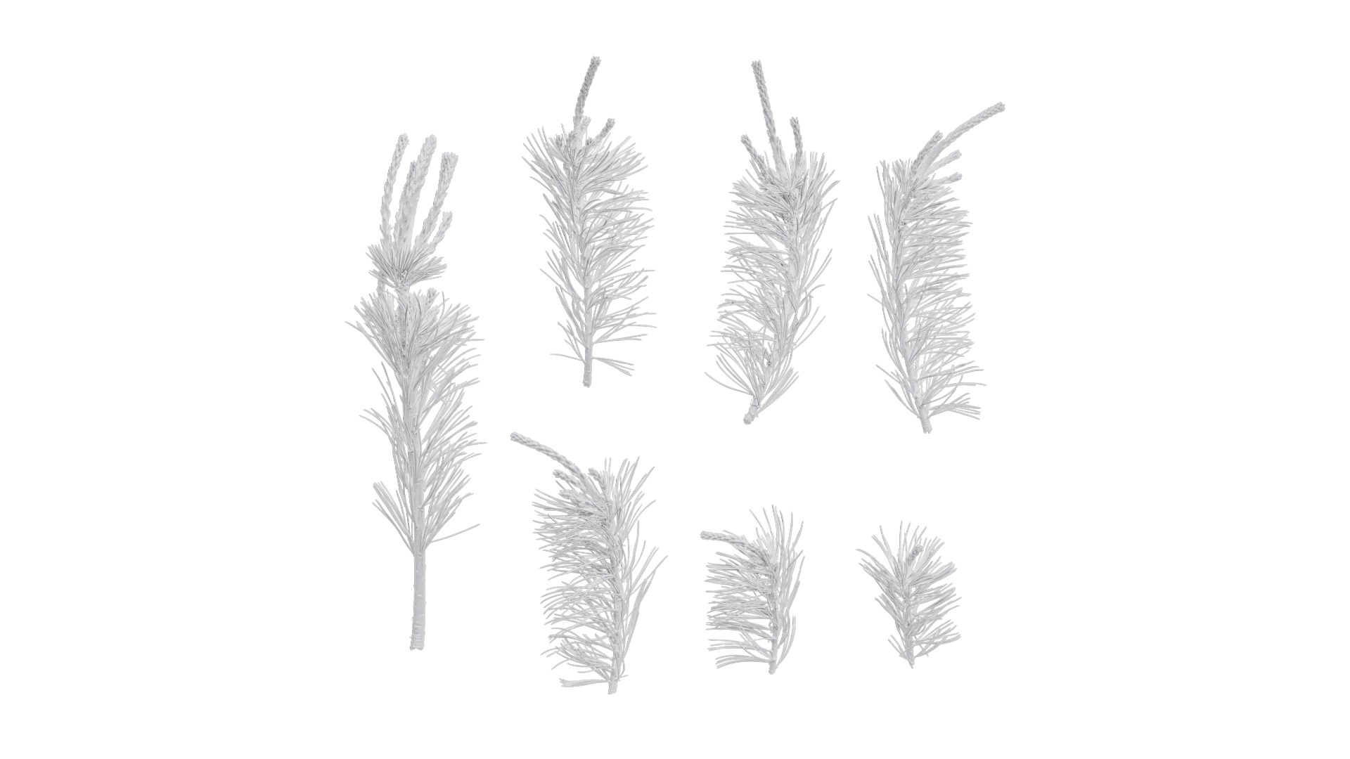 4K Pine Needle Textures Pack Texture_10