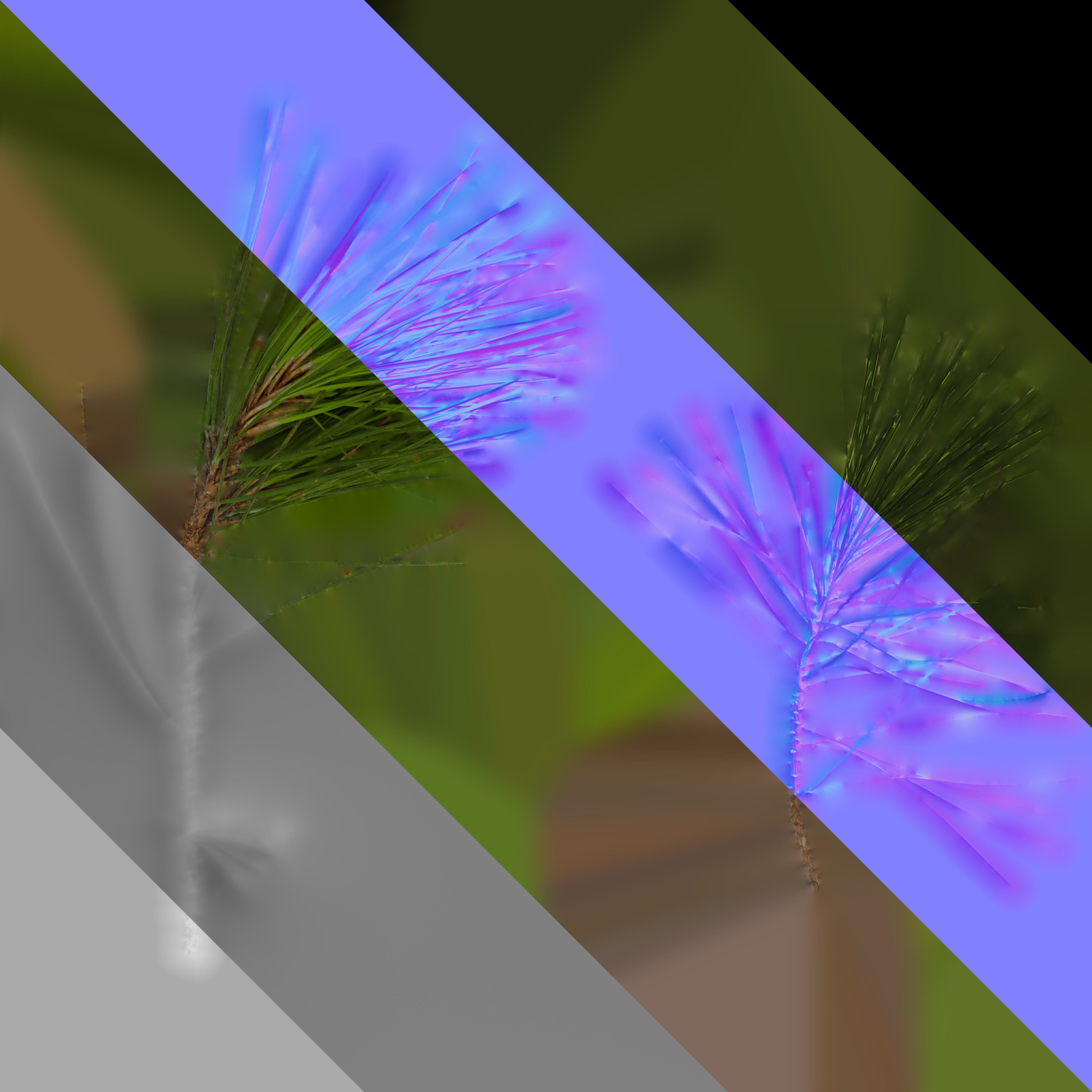 4K Pine Needle Textures Pack Texture_7