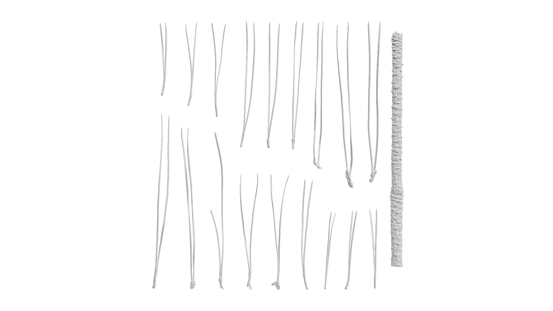 4K Pine Needle Textures Pack Texture_8