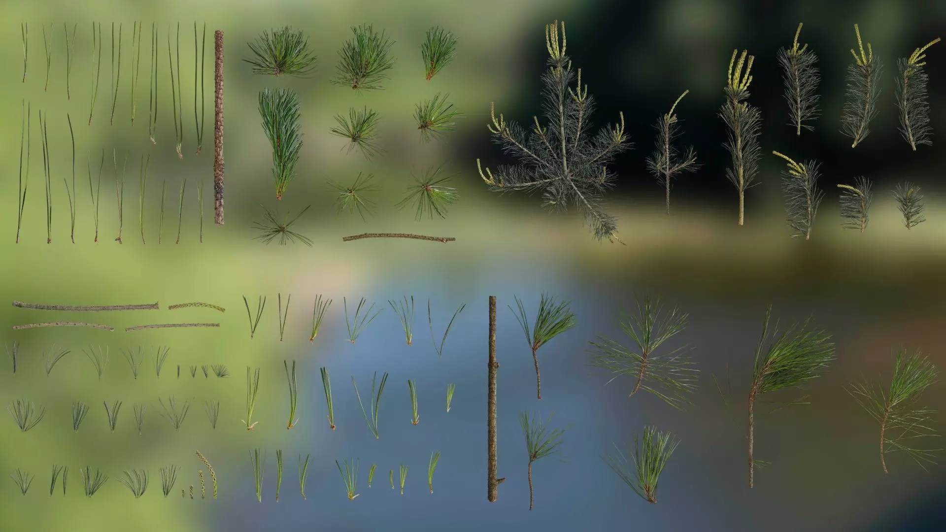 4K Pine Needle Textures Pack Texture_0