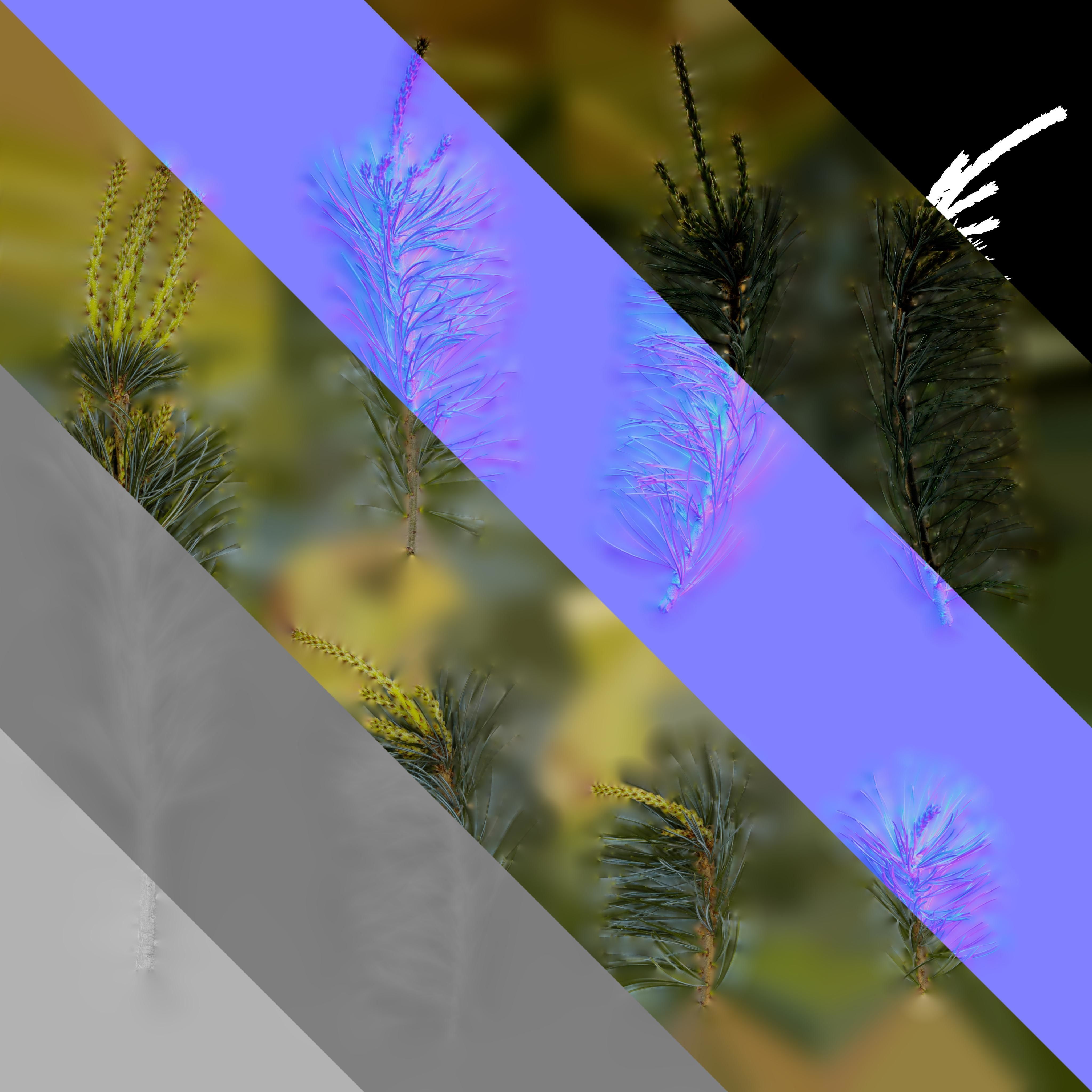 4K Pine Needle Textures Pack Texture_3