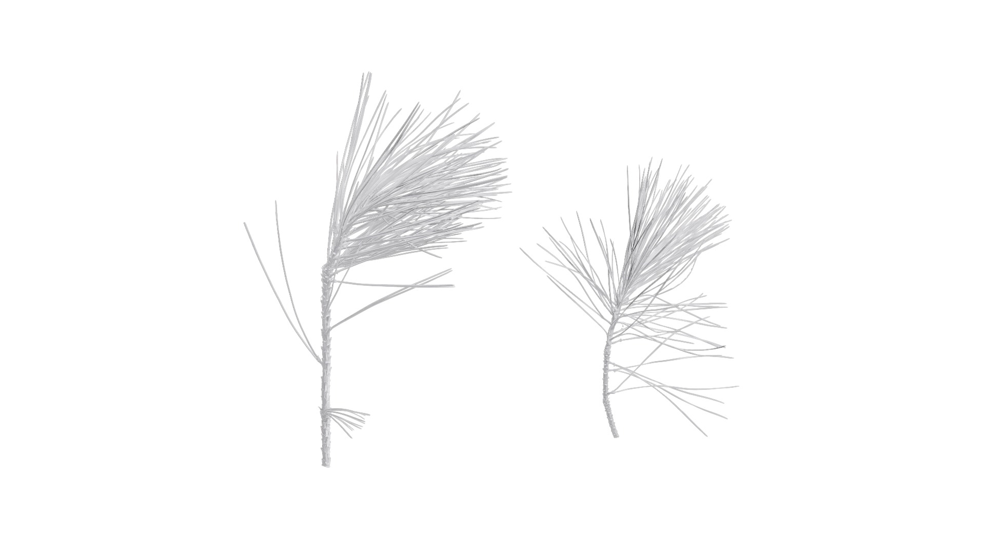 4K Pine Needle Textures Pack Texture_14