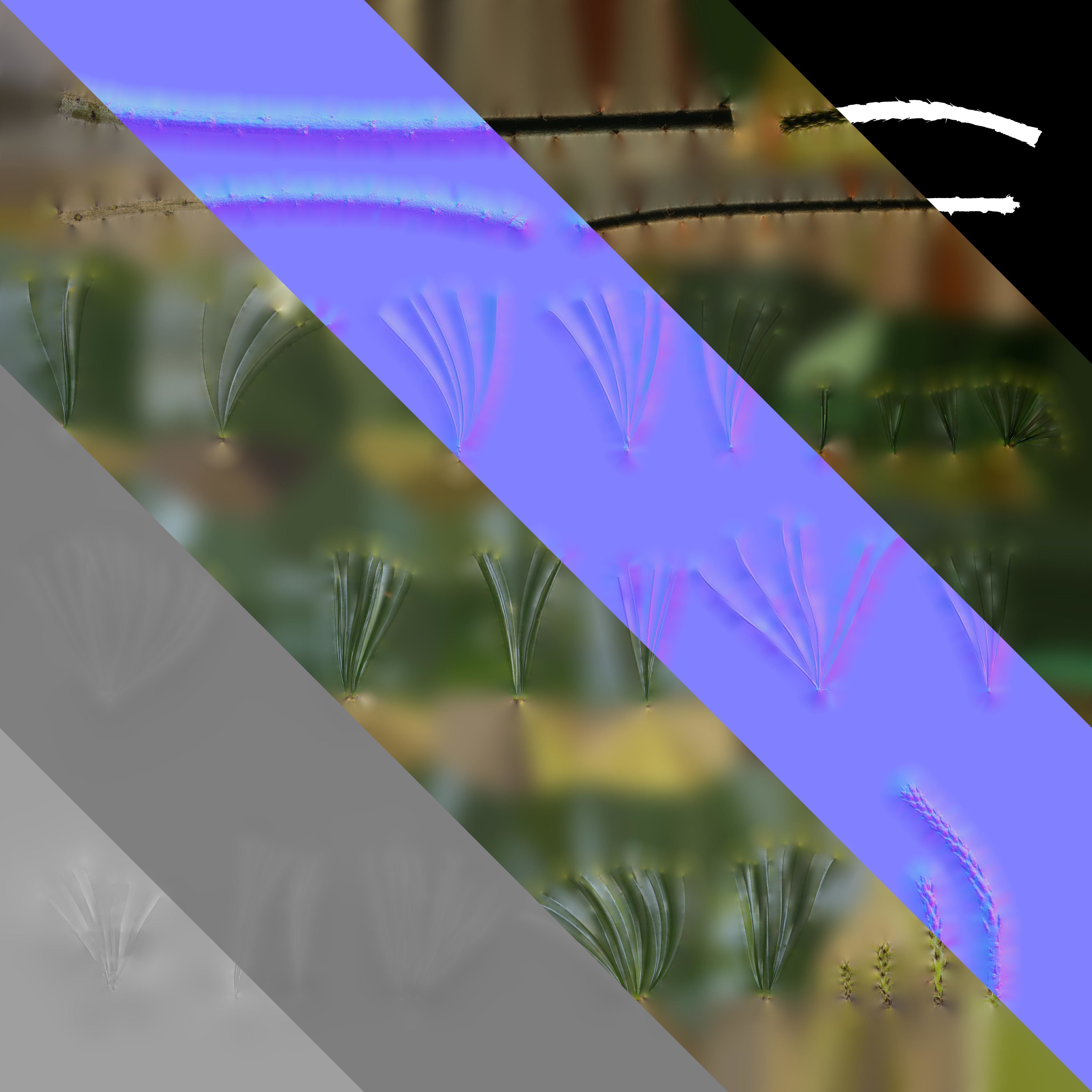 4K Pine Needle Textures Pack Texture_4