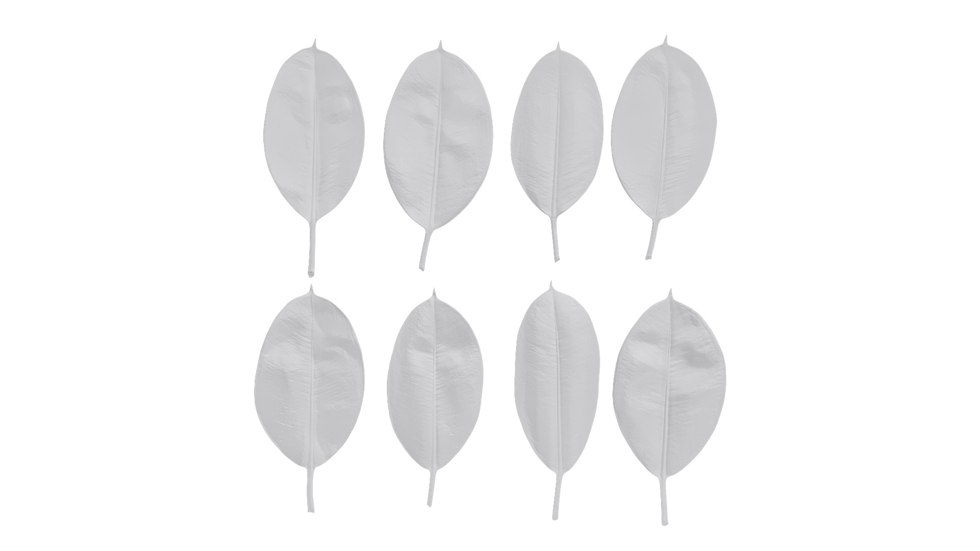 4K Ficus Elastica Leaves Textures Pack Texture_6