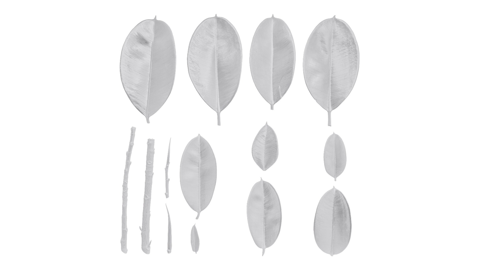 4K Ficus Elastica Leaves Textures Pack Texture_5