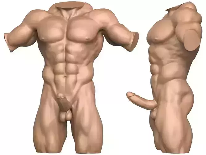 3D Print Ready Muscular Man Torso with Penis