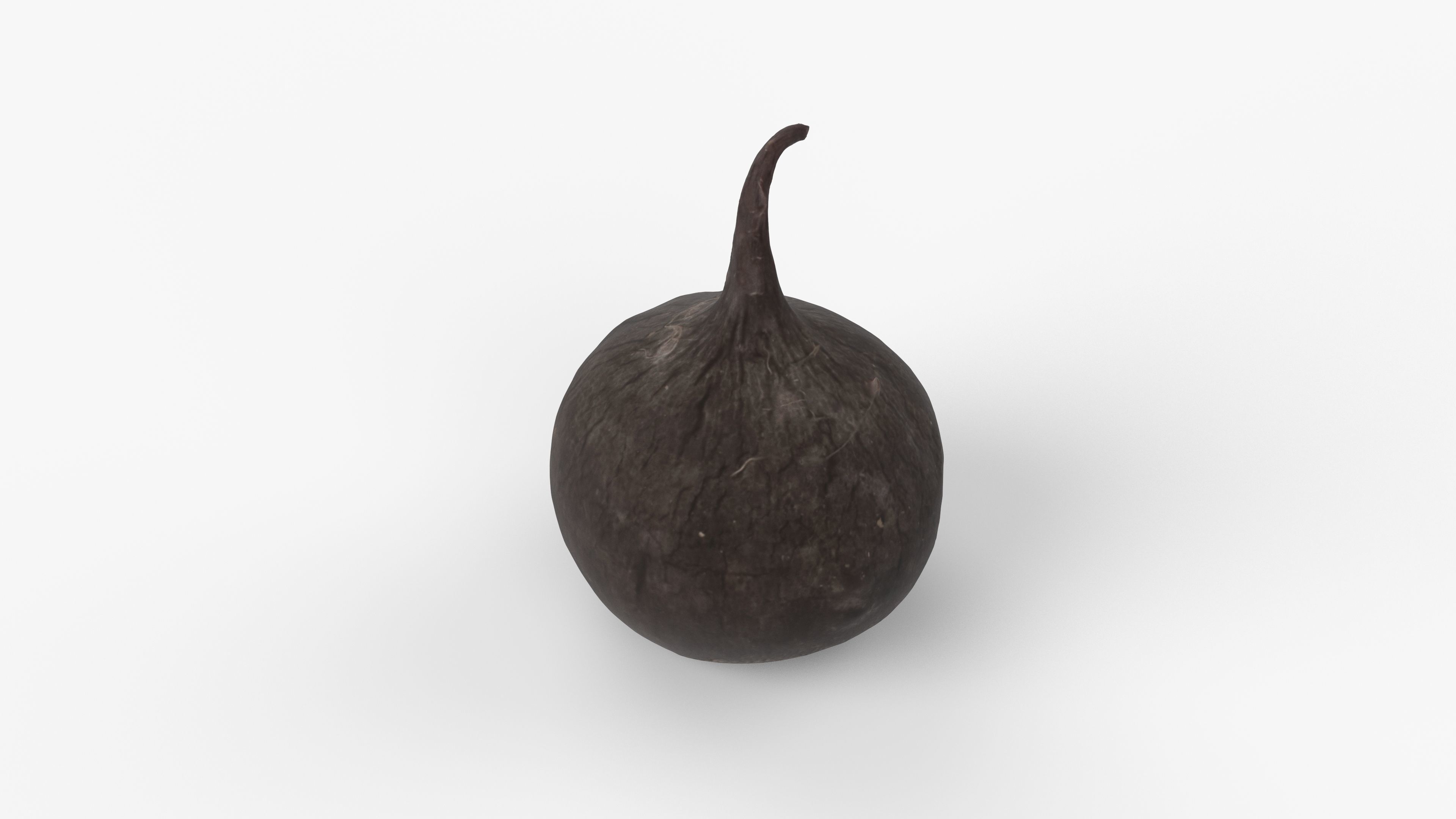 Photorealistic 3D scan of black radish Low-poly 3D model_1