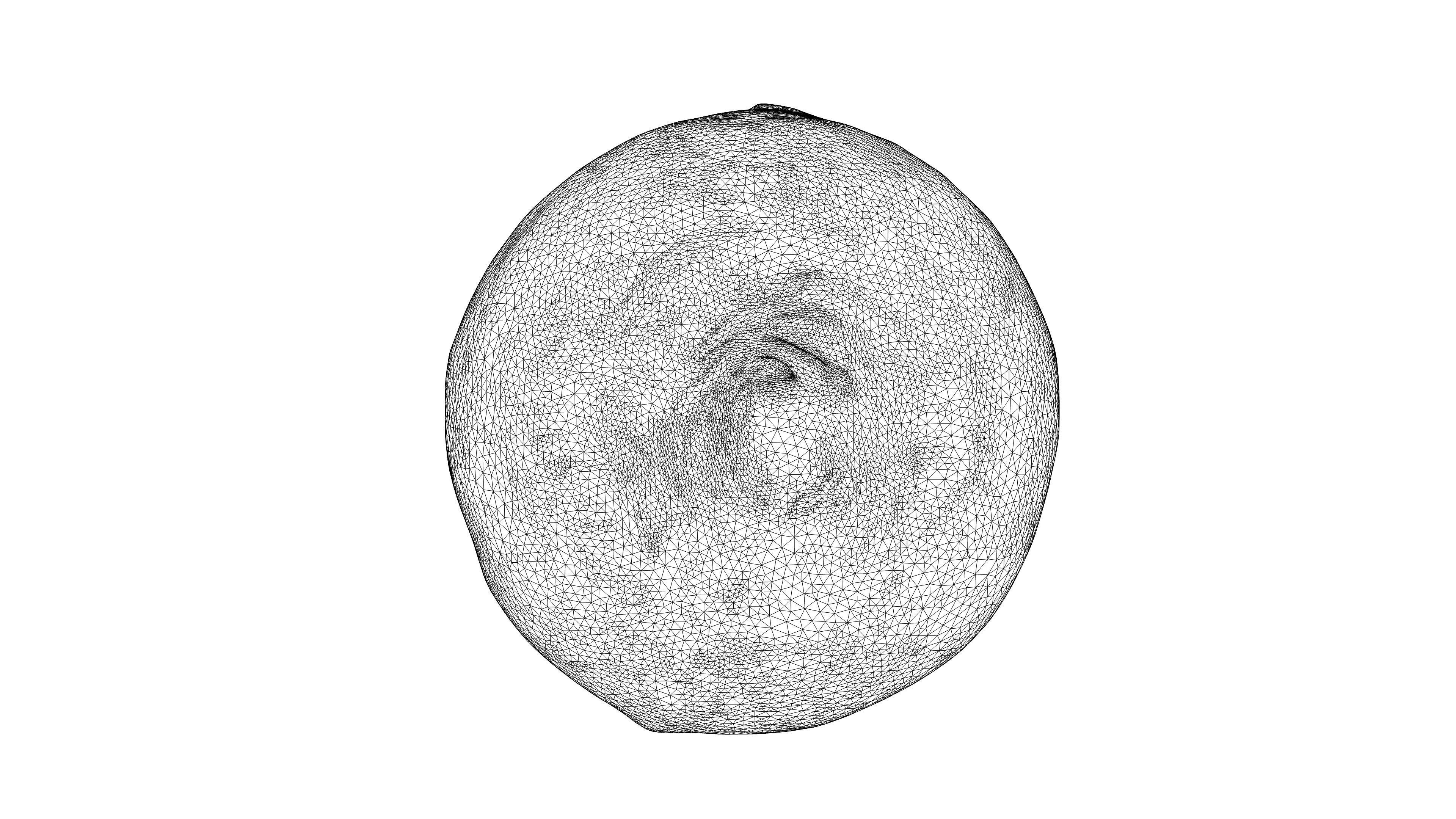 Photorealistic 3D scan of black radish Low-poly 3D model_25