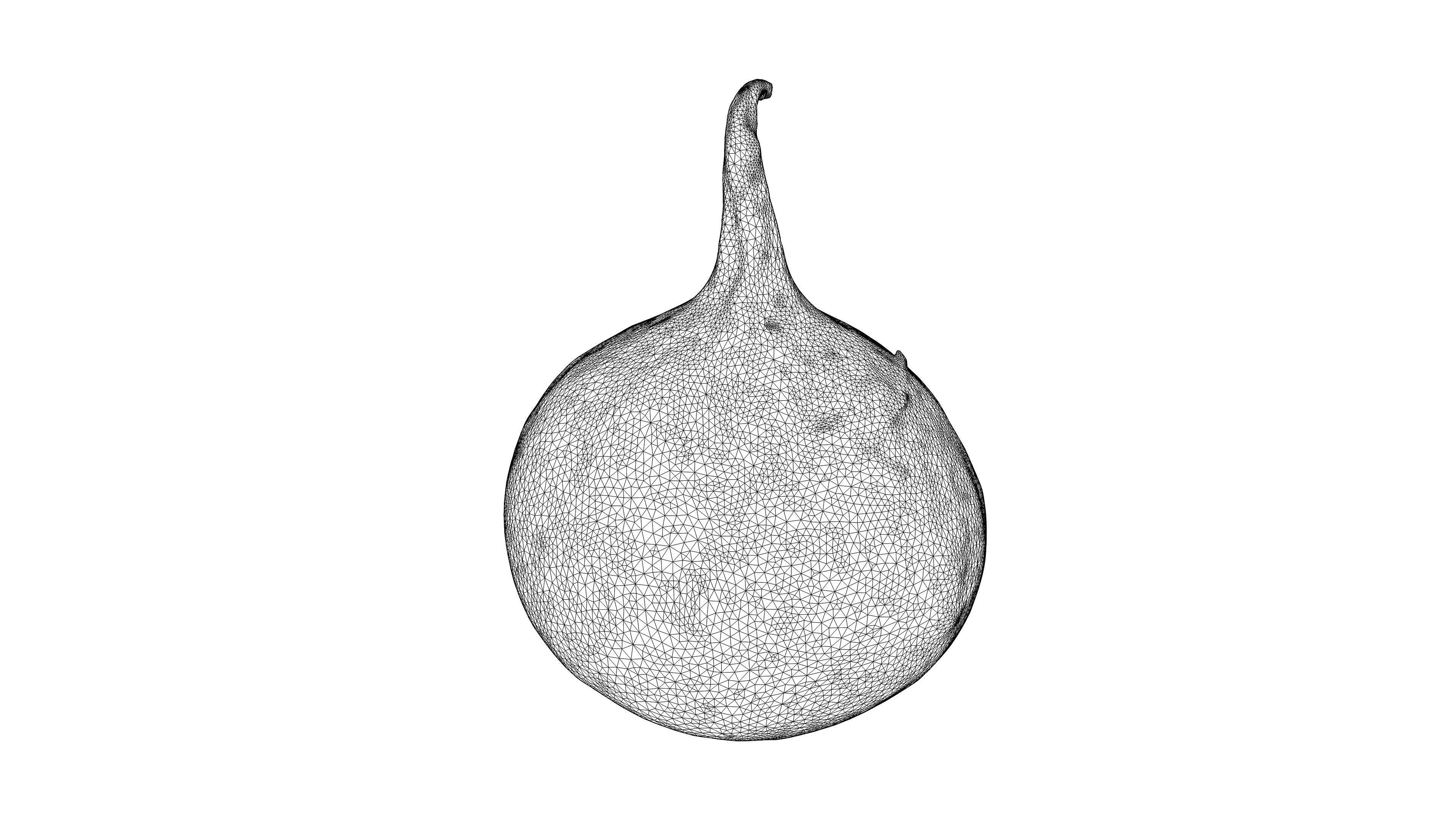 Photorealistic 3D scan of black radish Low-poly 3D model_20