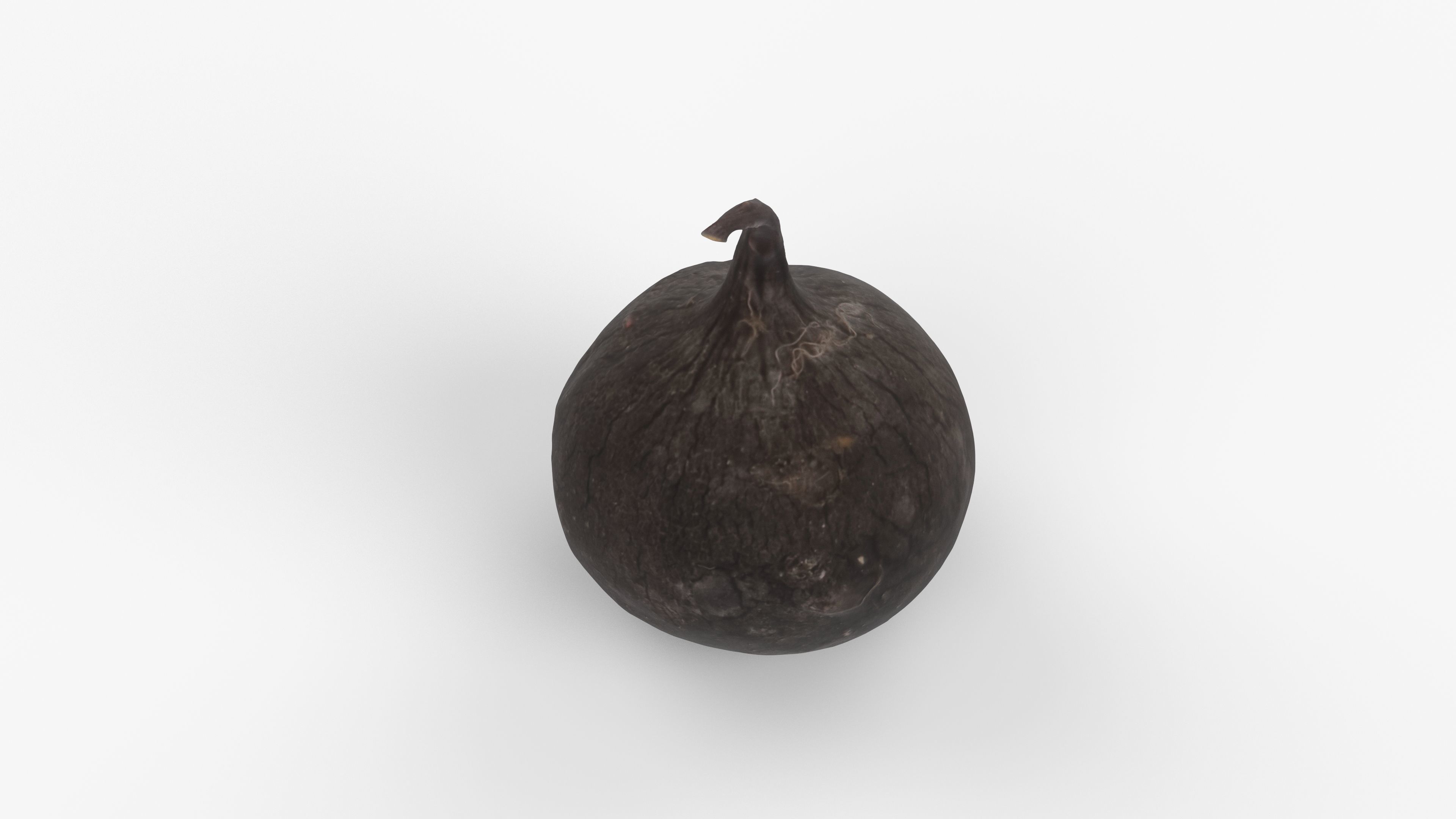 Photorealistic 3D scan of black radish Low-poly 3D model_13