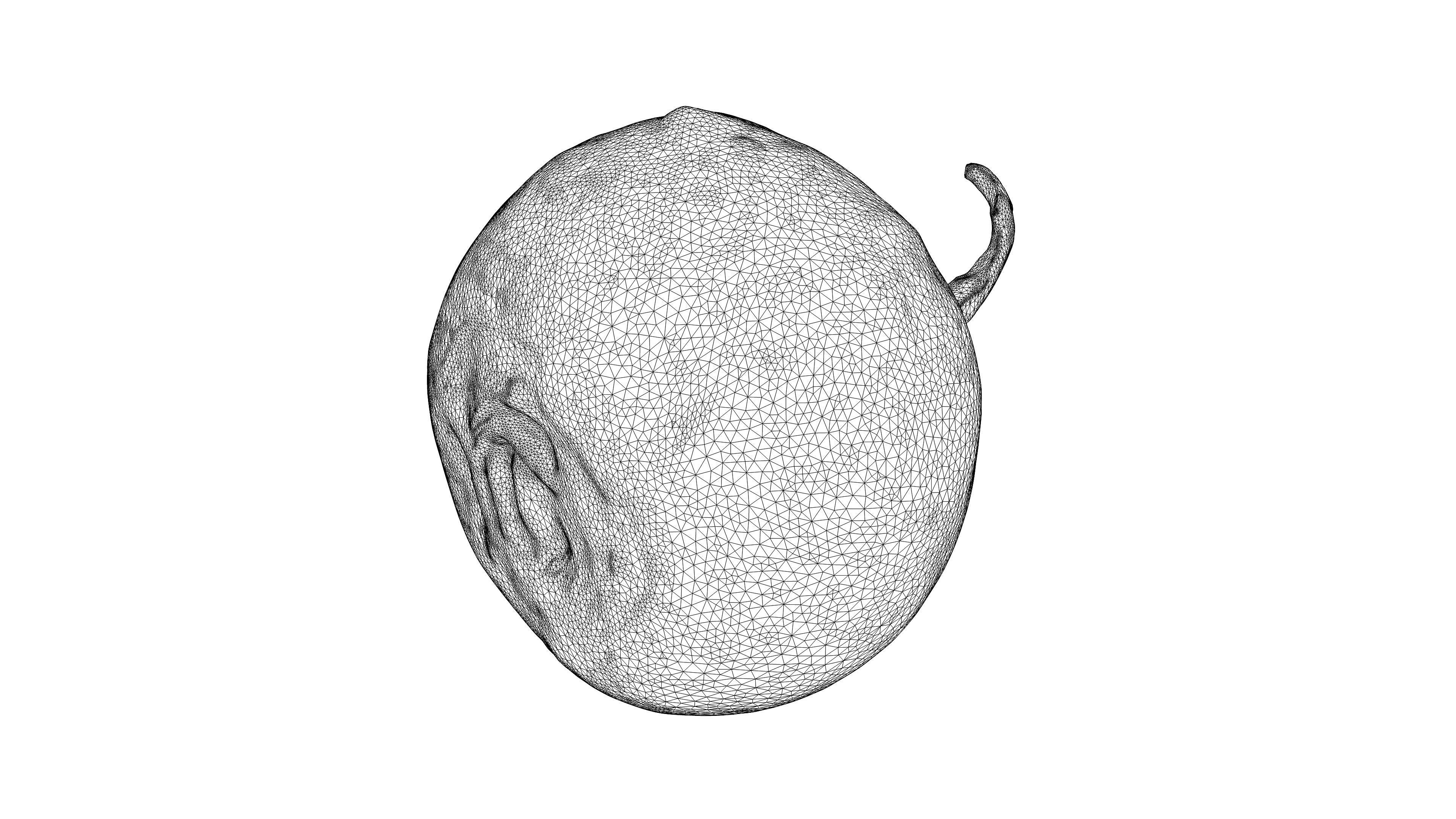 Photorealistic 3D scan of black radish Low-poly 3D model_22